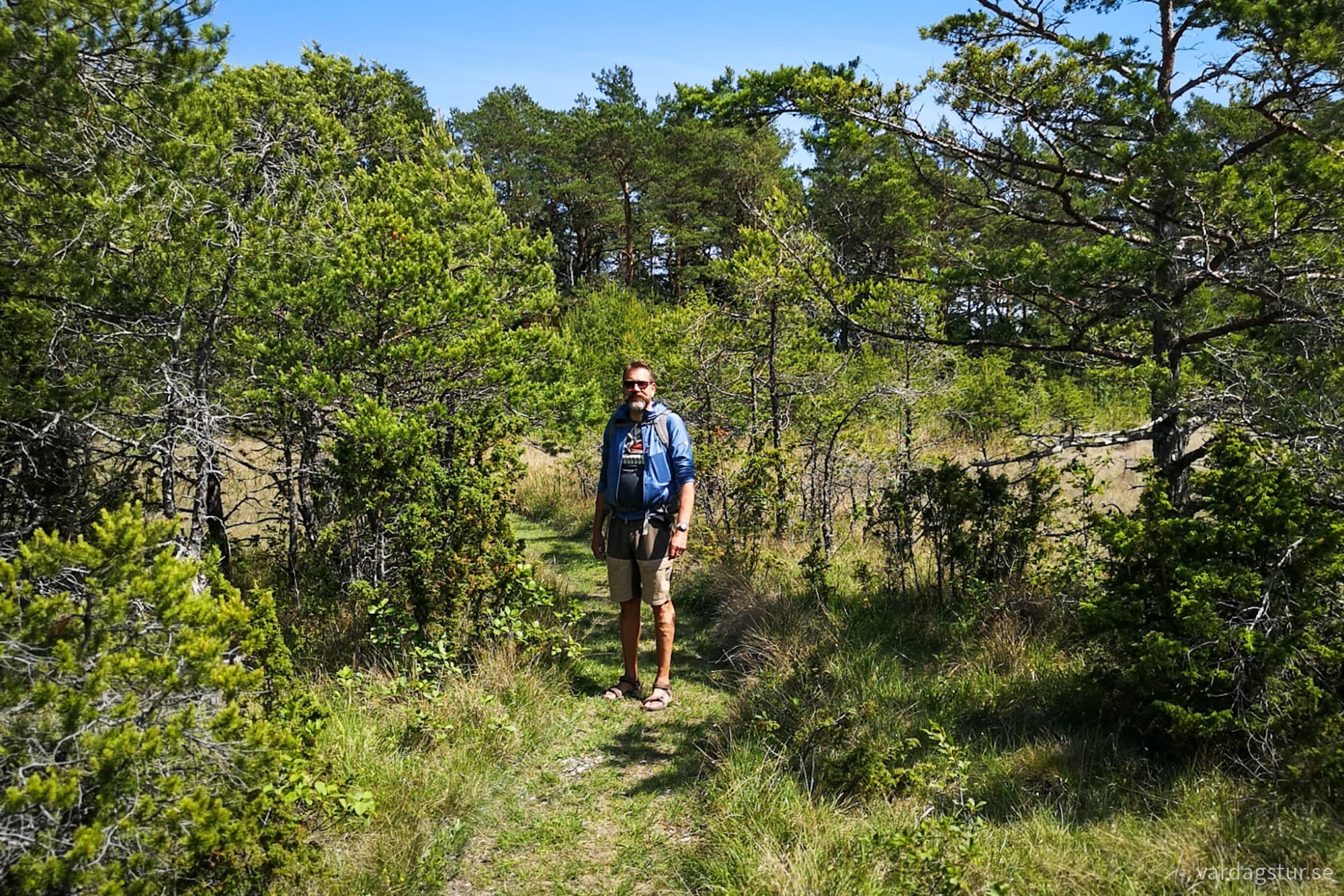 wp-17185172320204559484824146467663