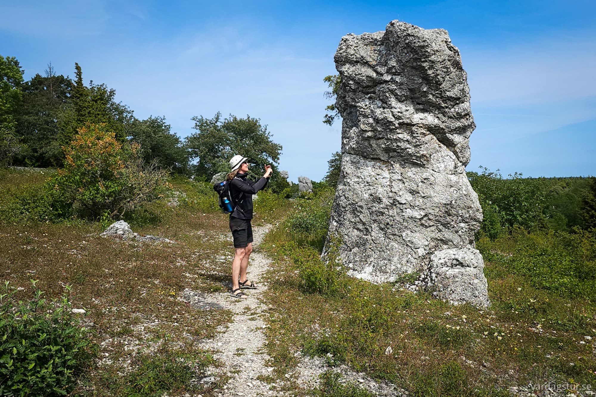 wp-17185172317131921395764173931028