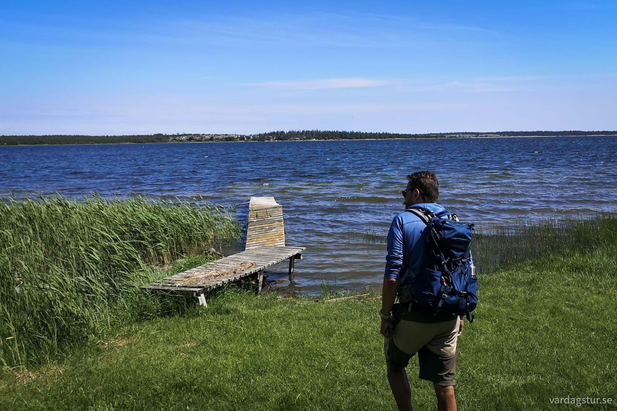 wp-17185172329896227782294349491630