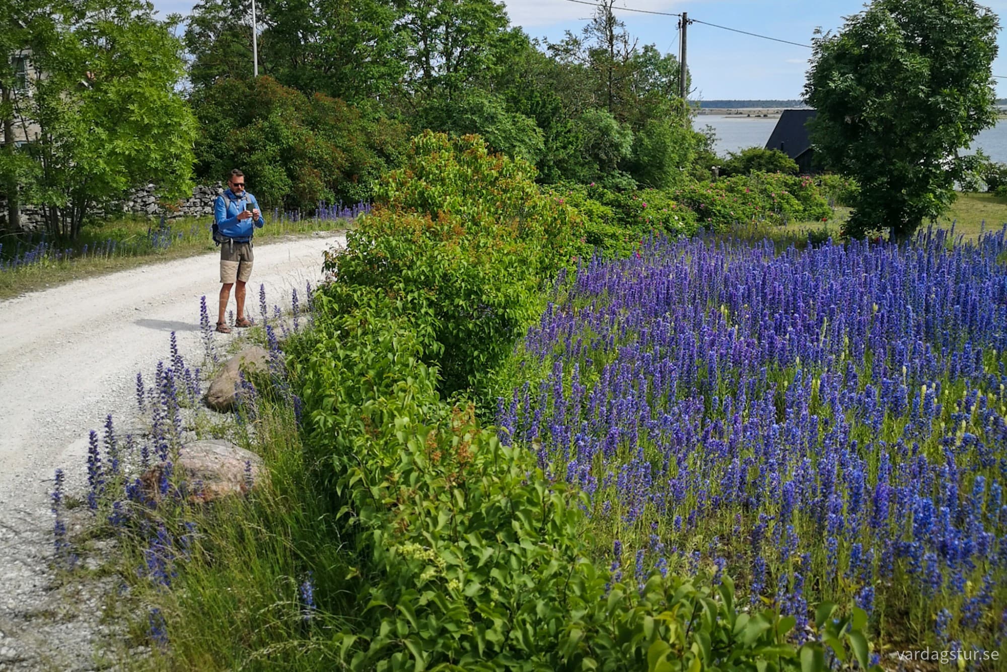 wp-17185172332344181180442783238846