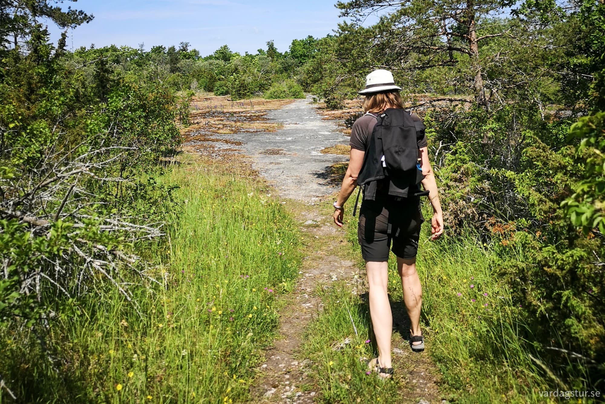 wp-17185172326823086744129500201082