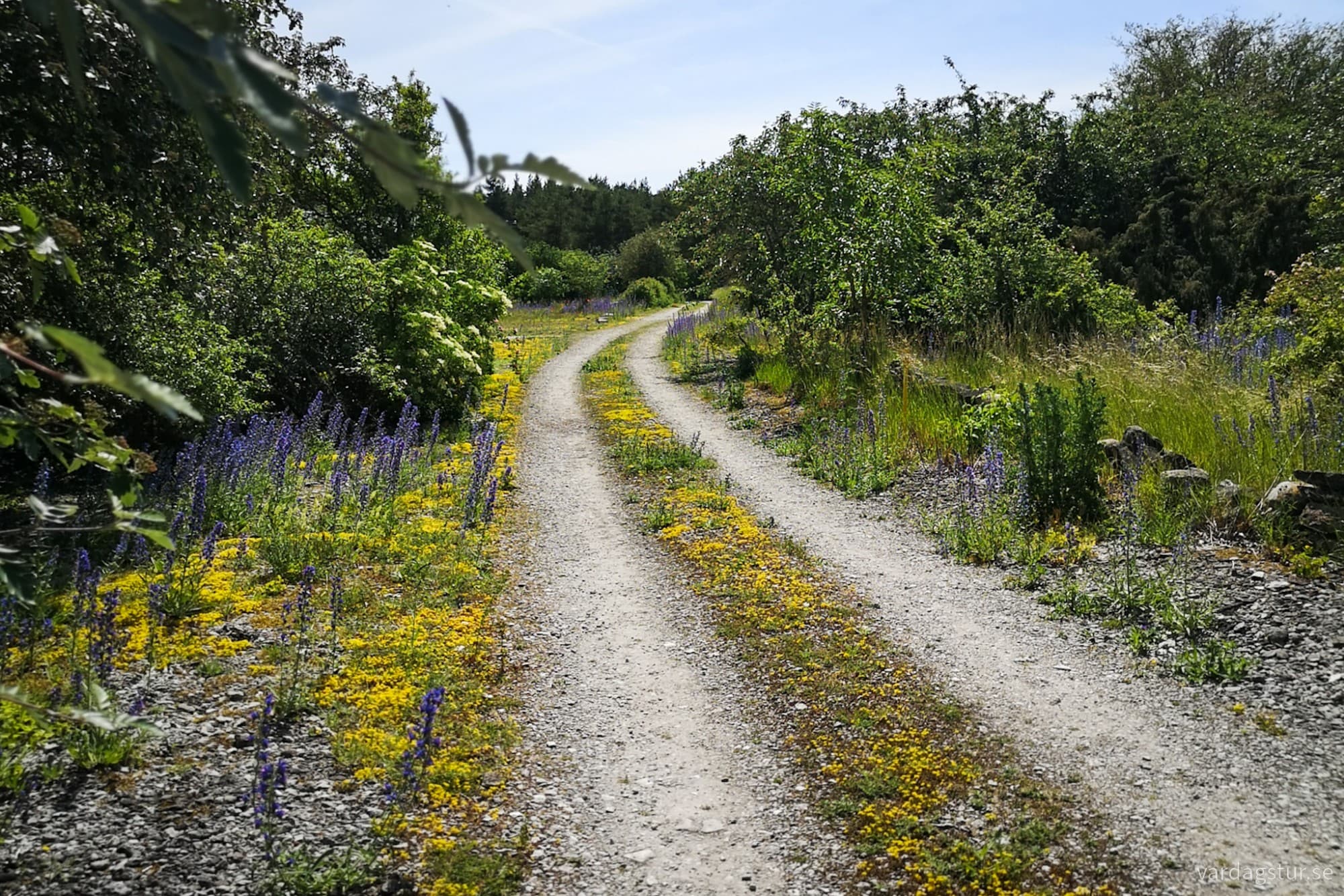 wp-17185172305921947985155644128645