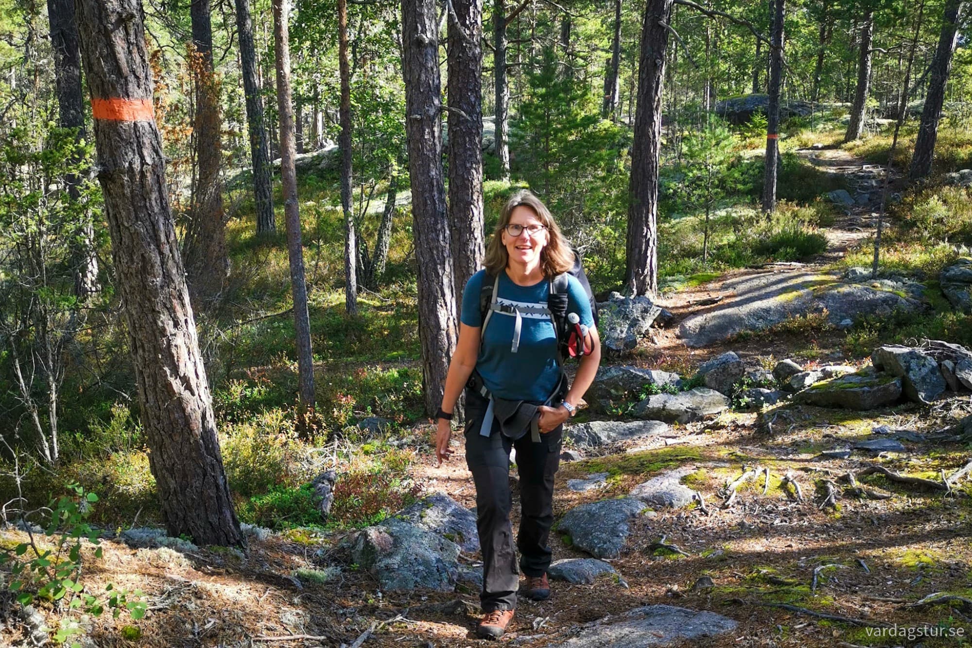 wp-17188726059893208981326372196595