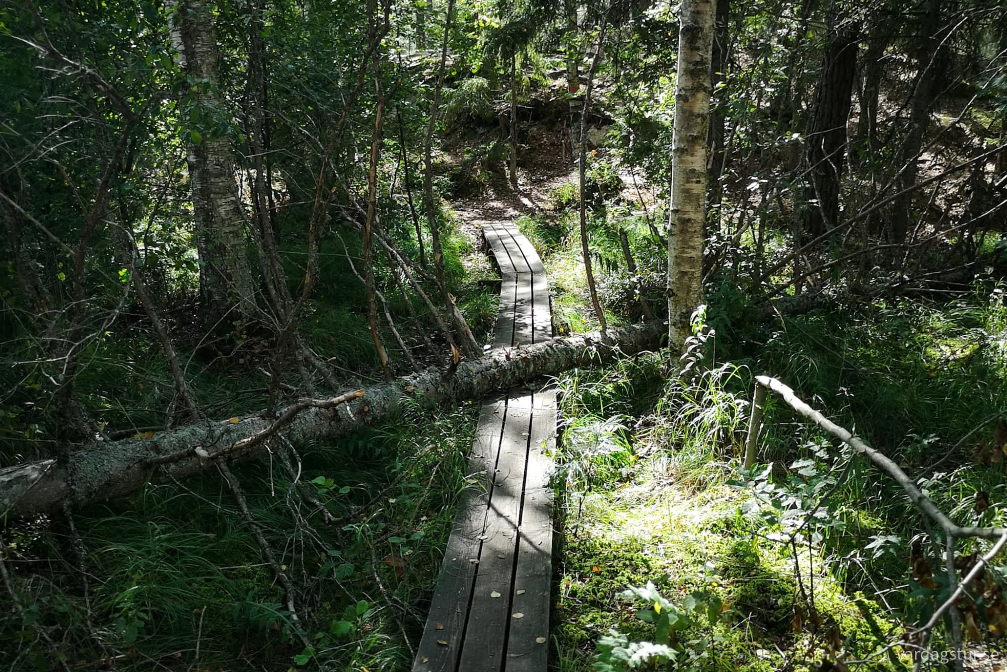 wp-17188726054597984488507171693951