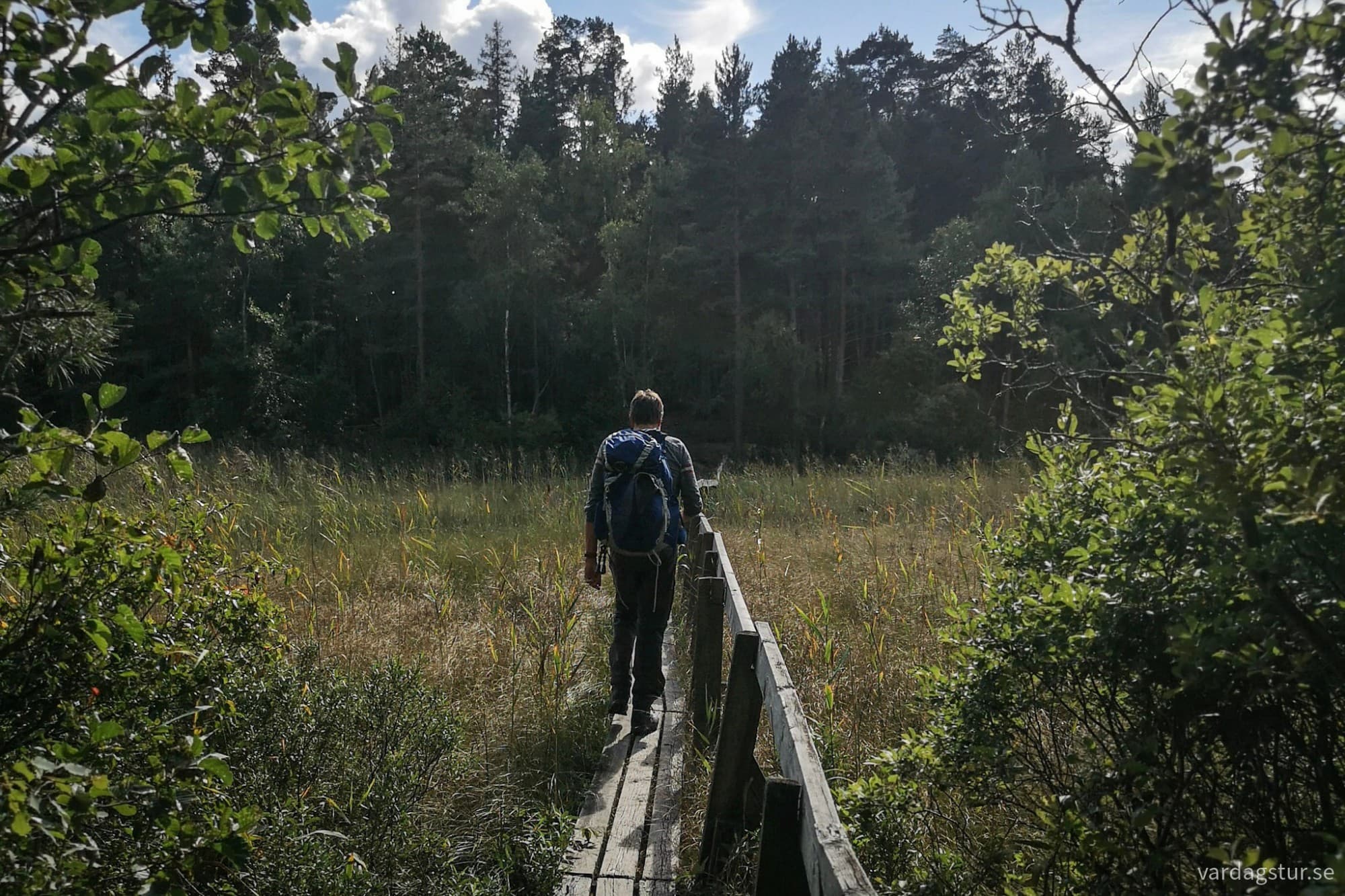 wp-17188726070027410676976997826323