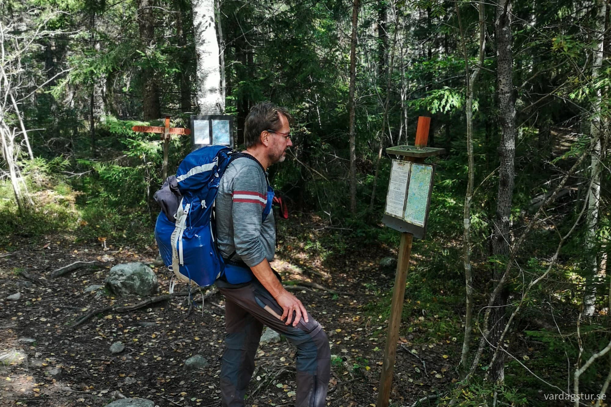 wp-17188726075217637866113594054156