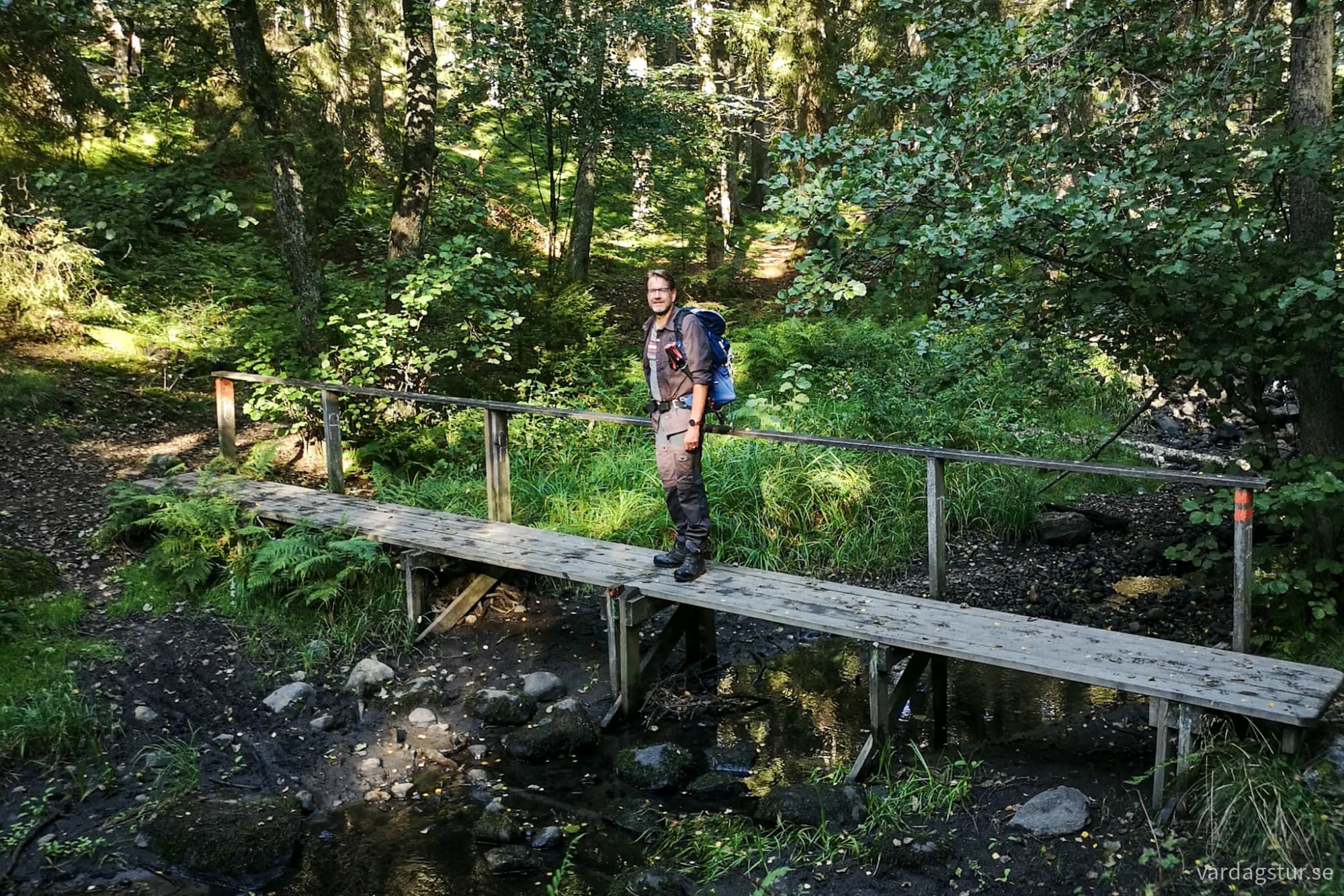 wp-17188726072365718306221342656346