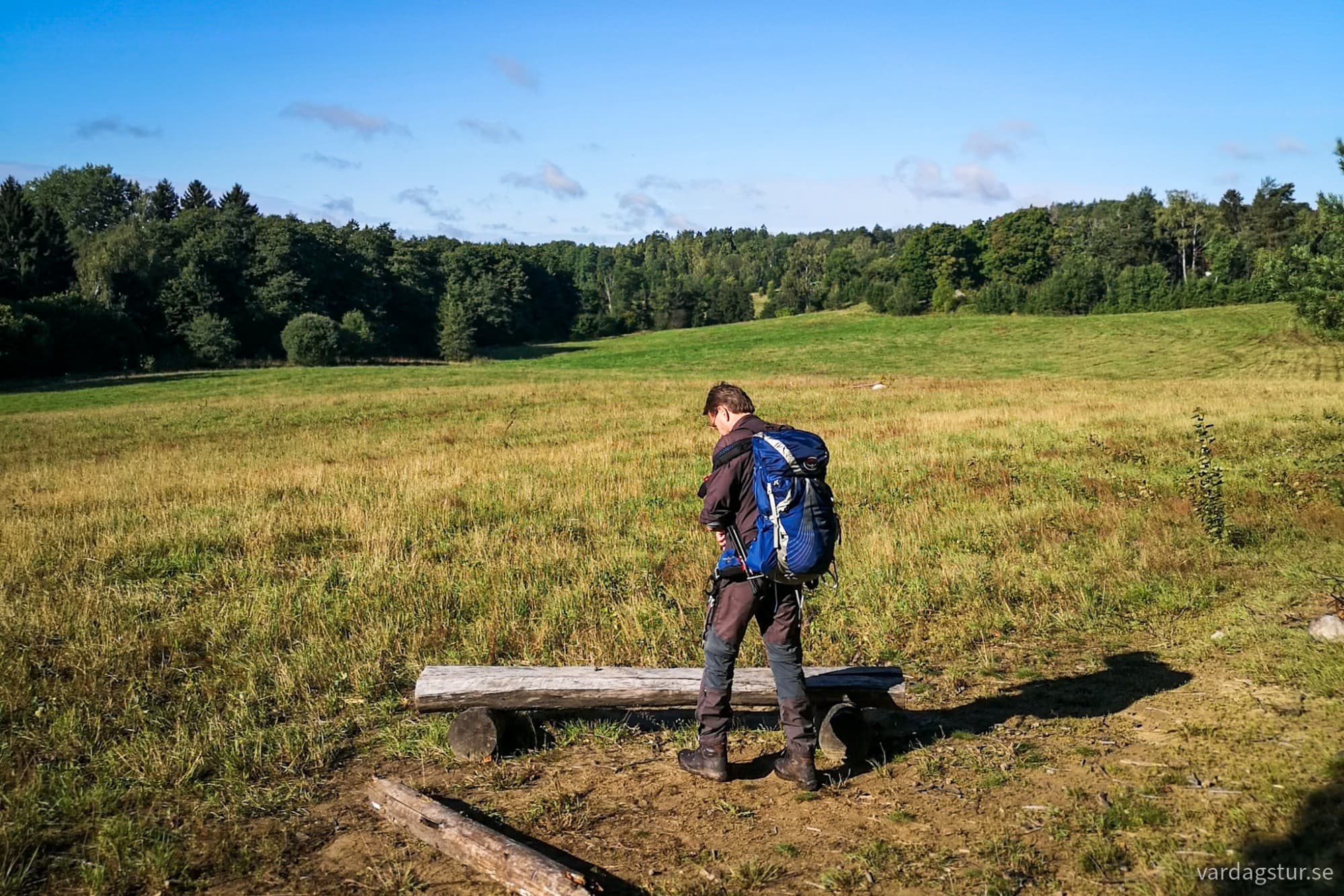 wp-17188726077617625196454277916387