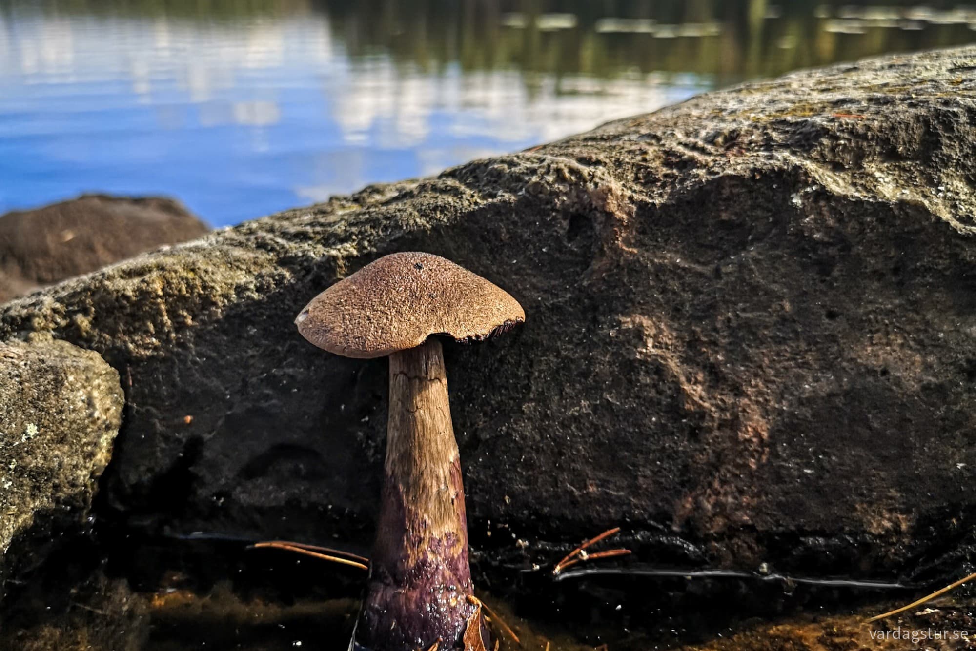 wp-1718872608270670047639422188203