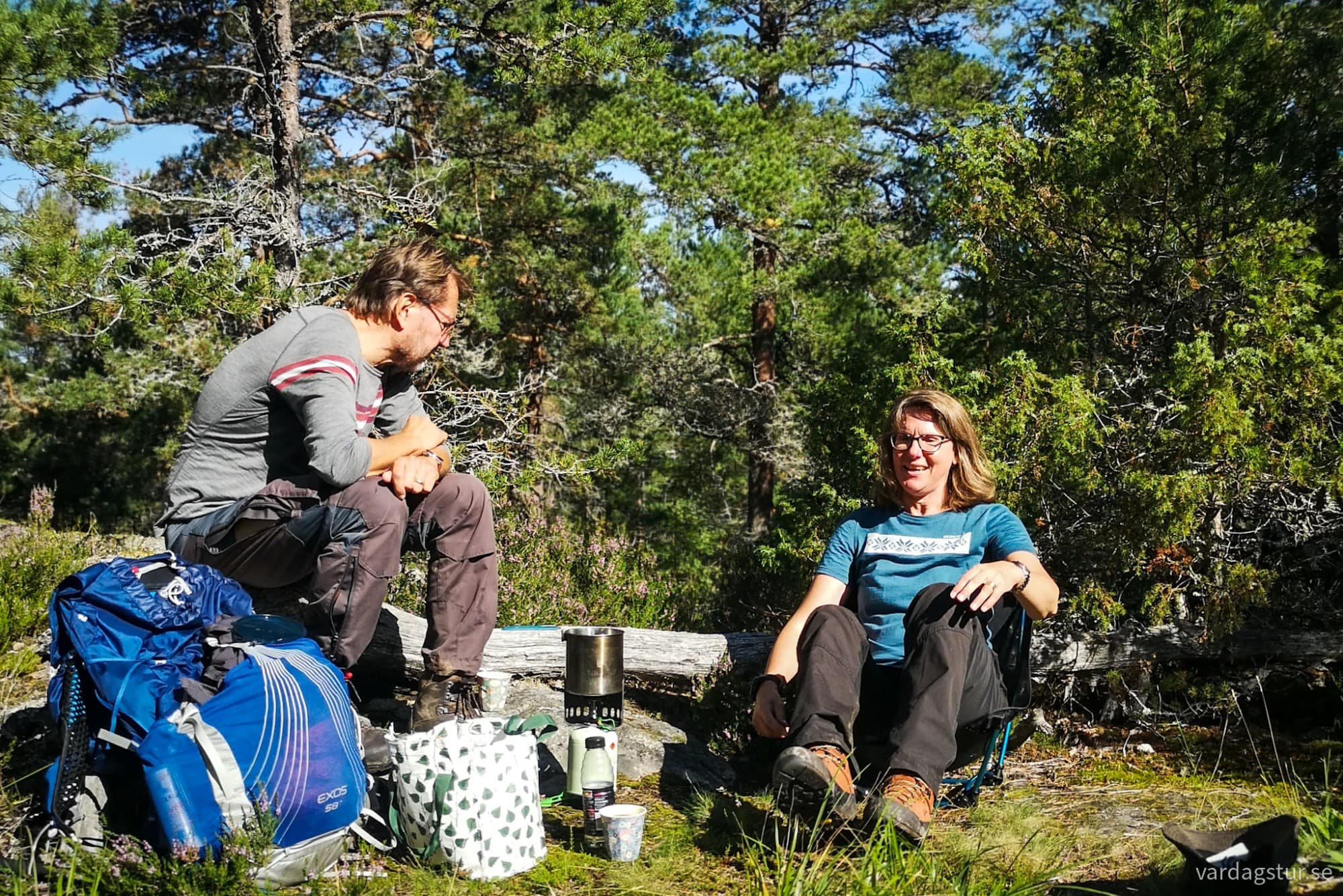 wp-17188726087714475567313621066713