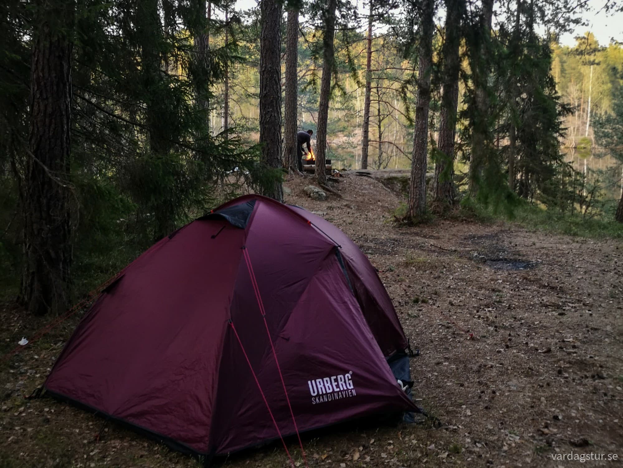 wp-17249460414918329095091706255019