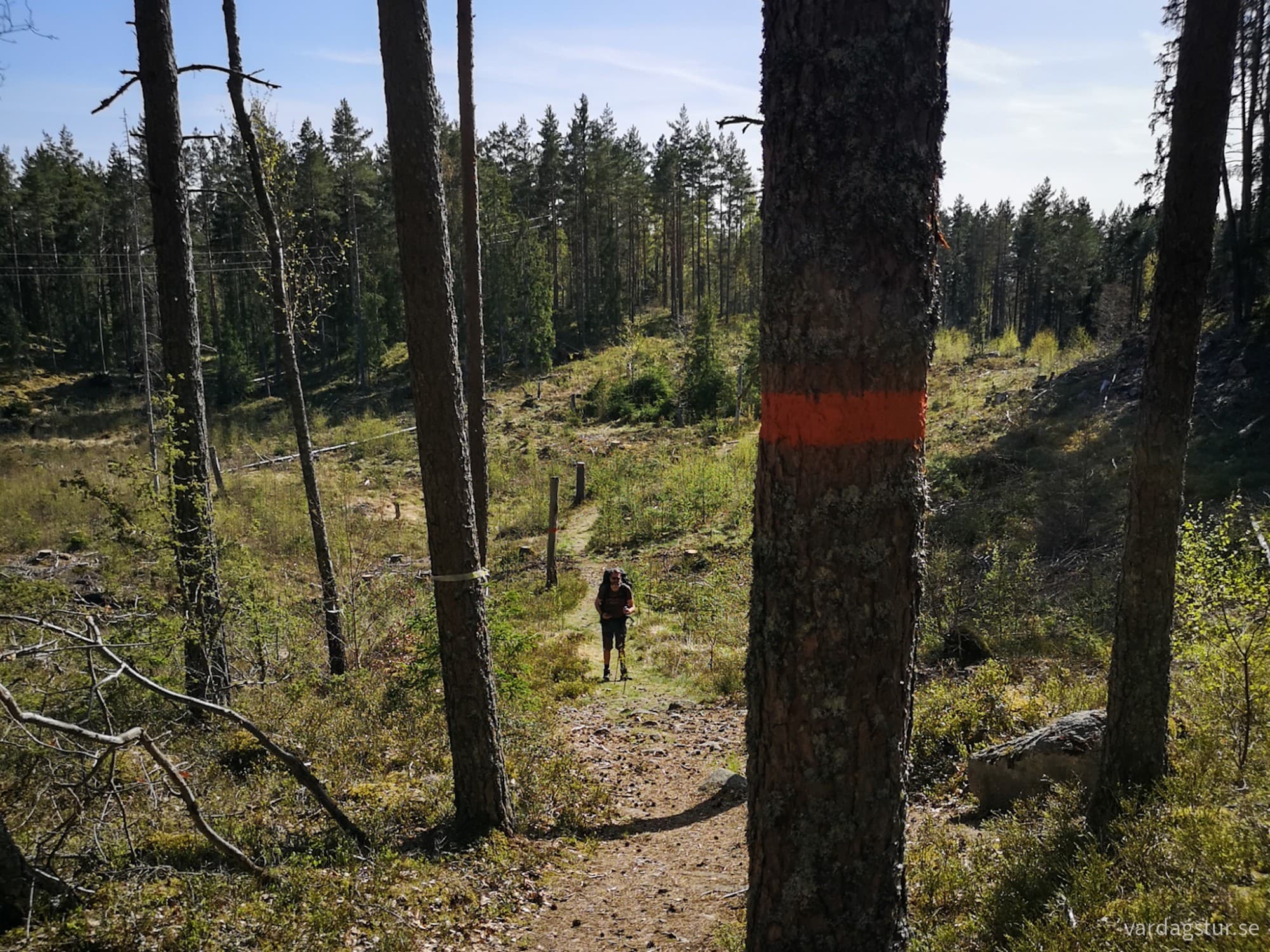 wp-1724946042603879825201641238499