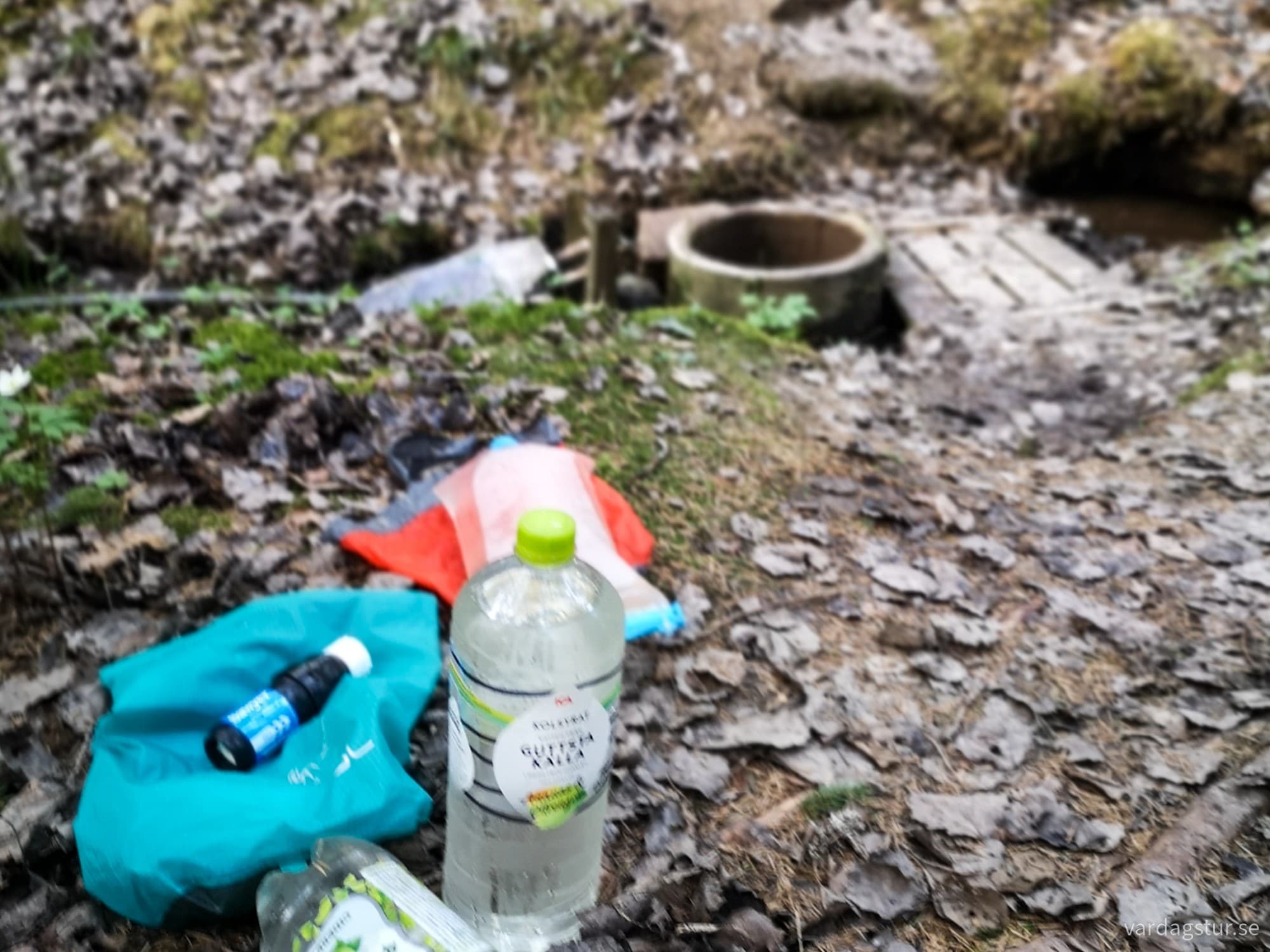 wp-17249460429593246435560632967482