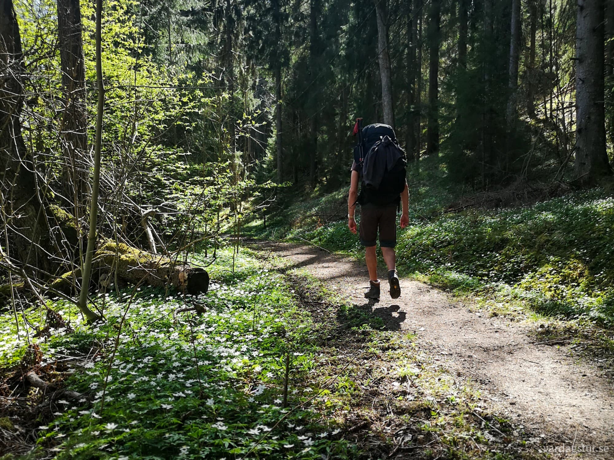 wp-17249460432275804018347474539517