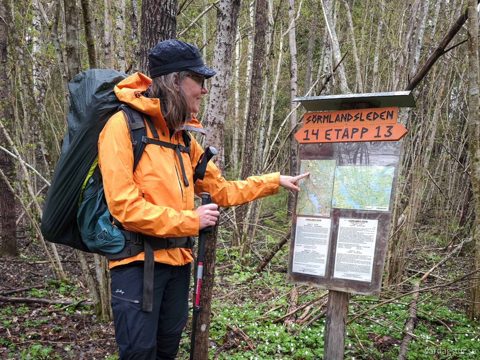 wp-17250351111687152519131037642518