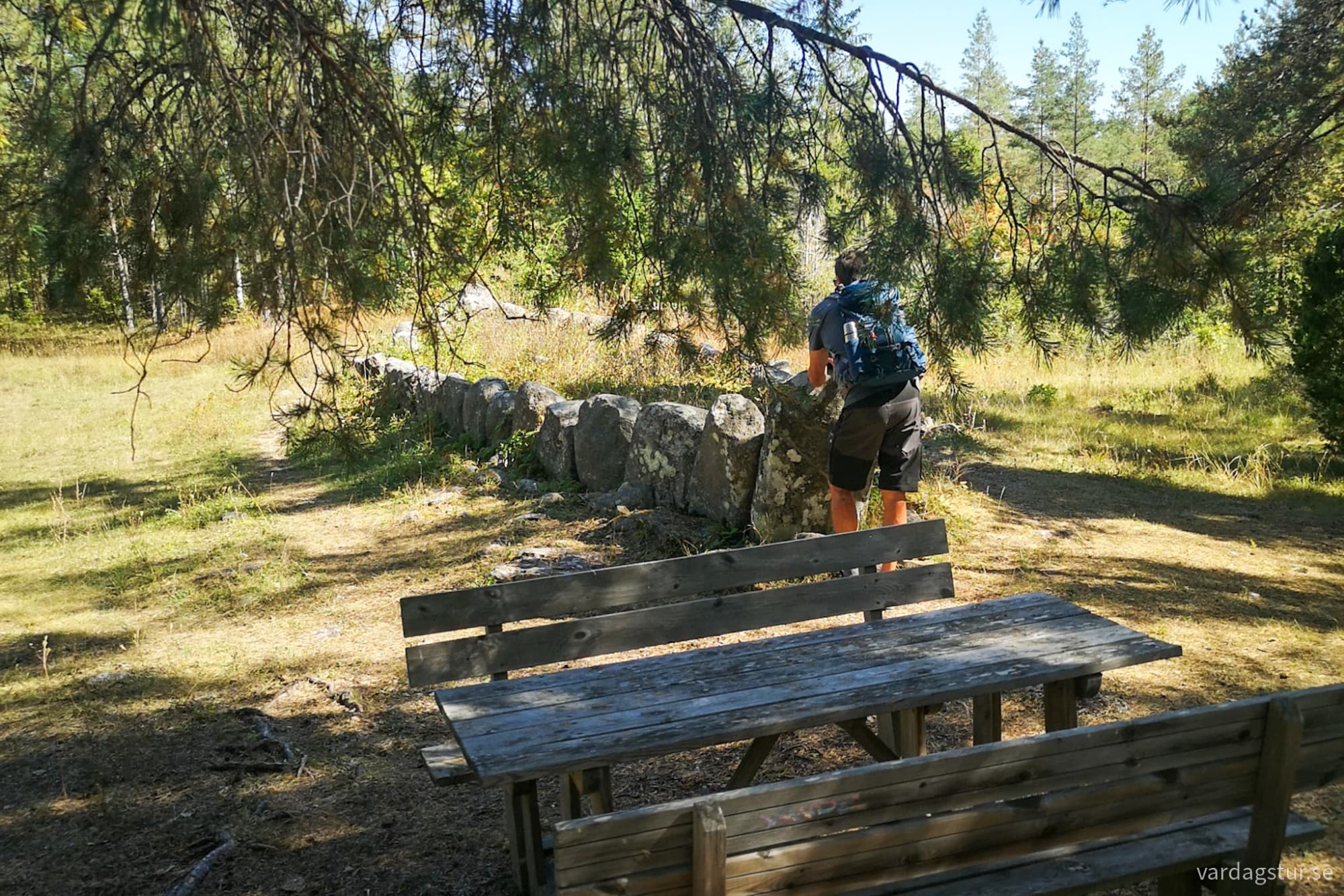 wp-17251726368018333312960531980977