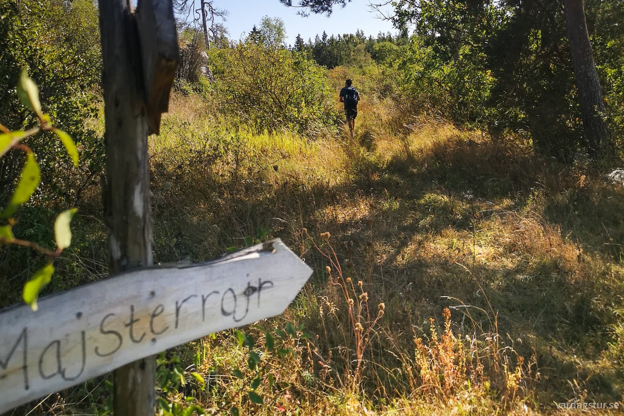 wp-1725182998129147021927044630865