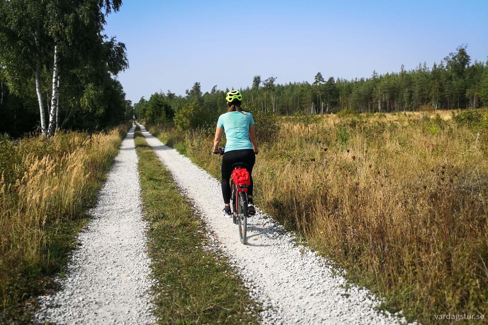 wp-17262093891921761780106276413104