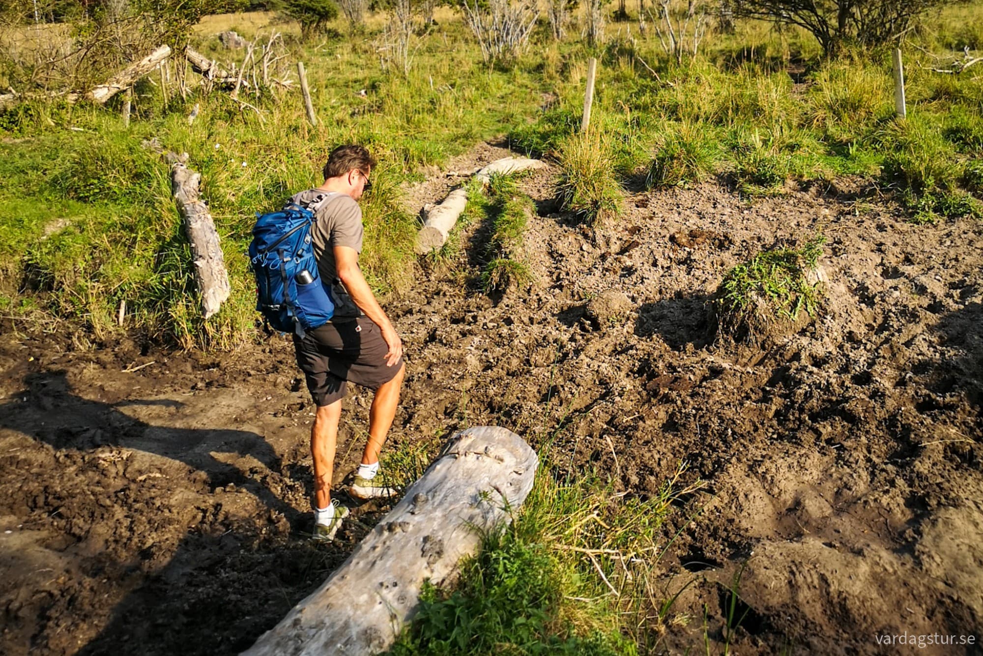 wp-17262093894158336484535525824247