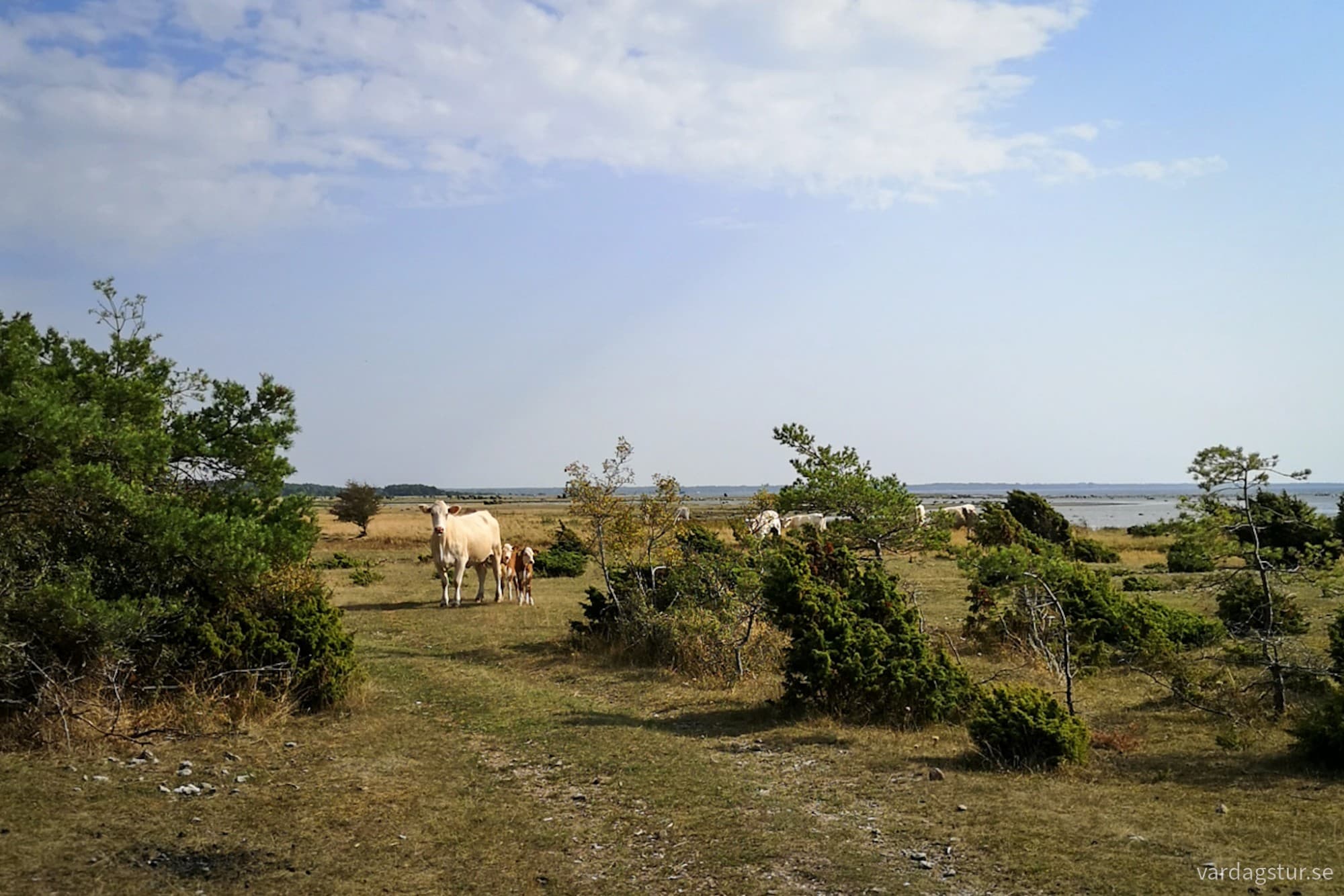 wp-1726209392119111176081771931720