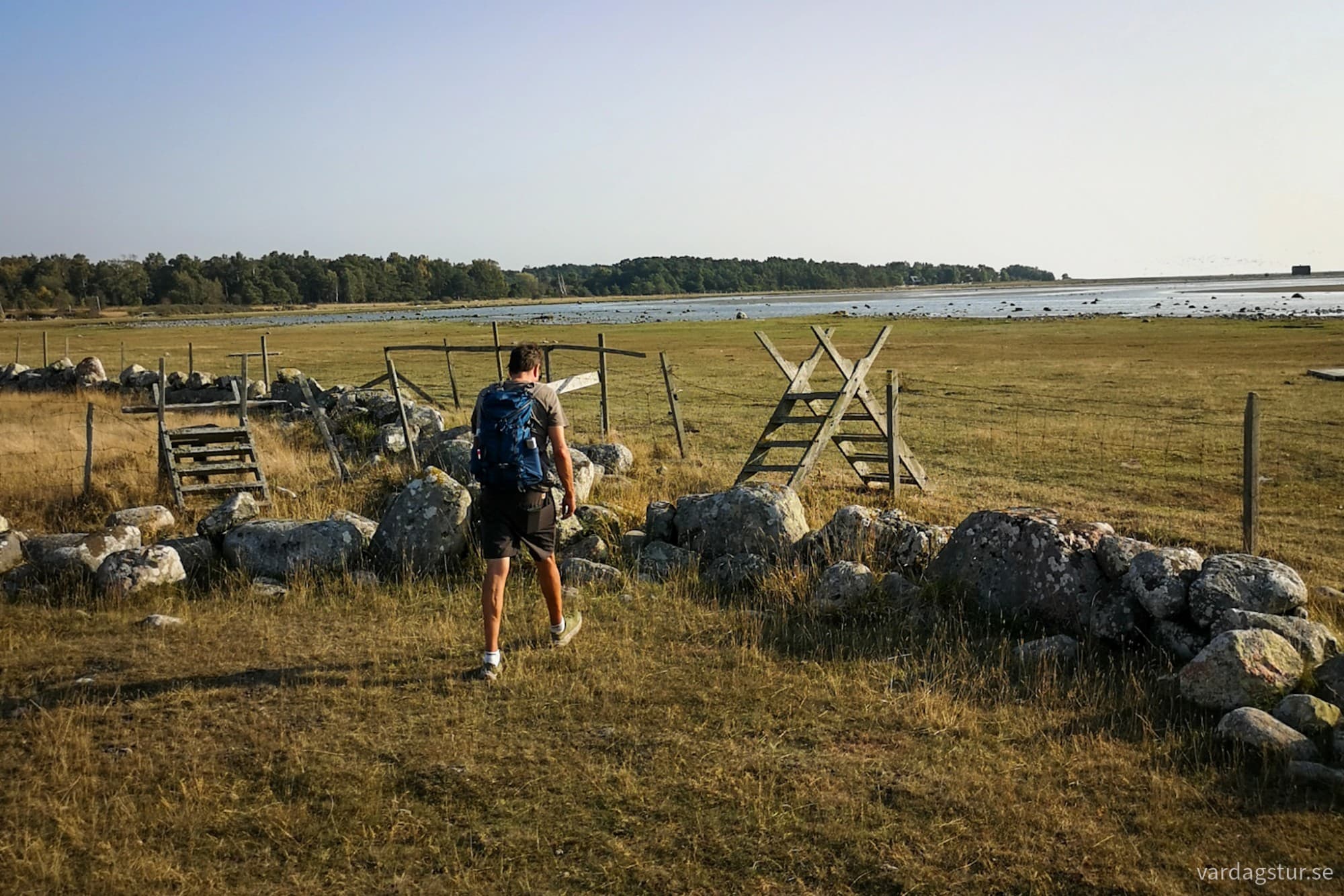 wp-17262093923835402316389647165412