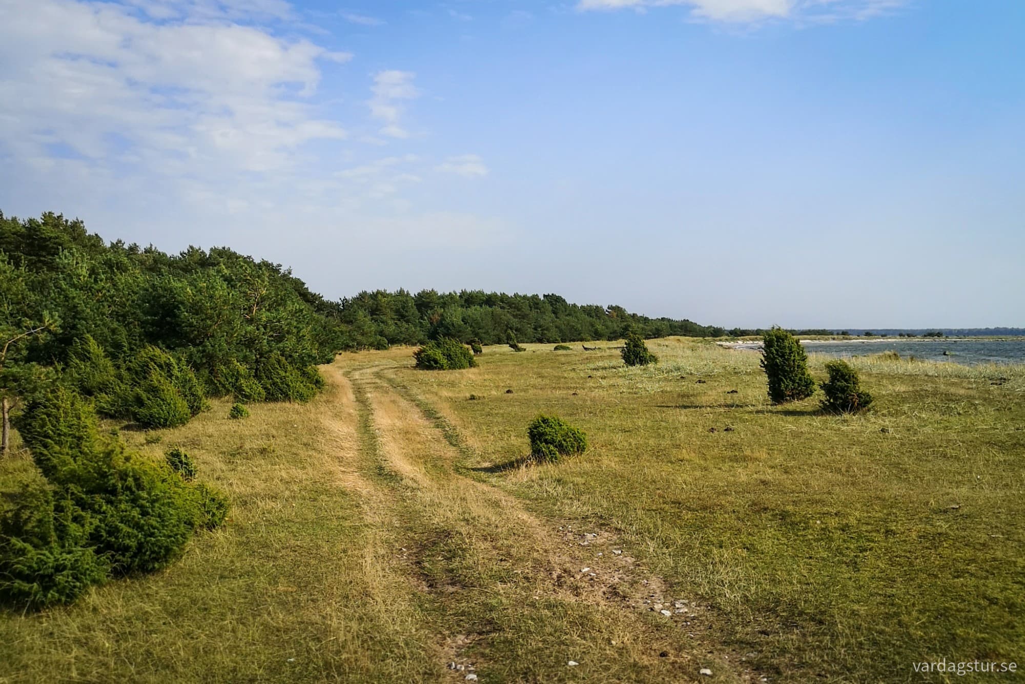 wp-17262169103643110155050012821111