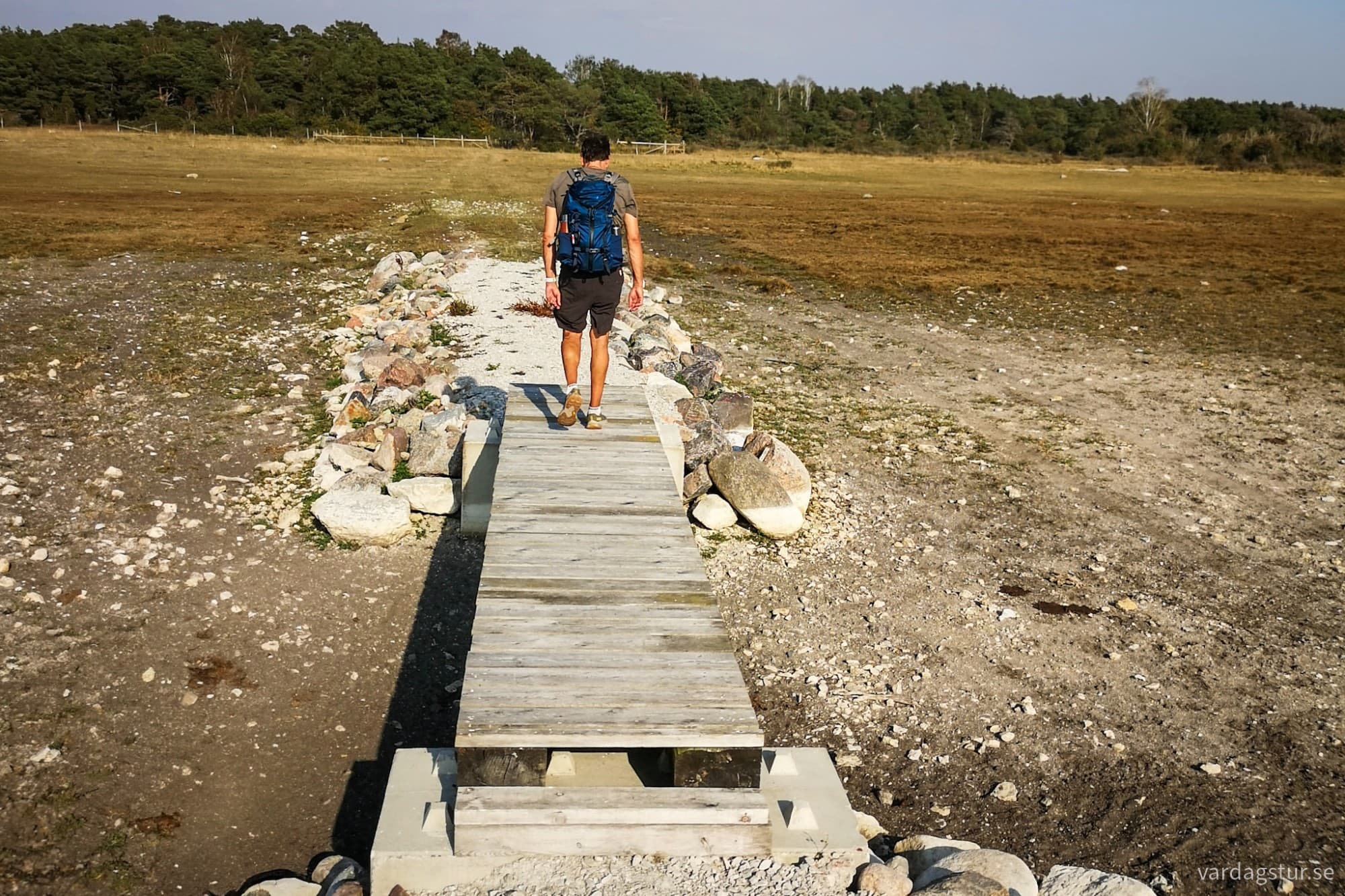 wp-17262183536798865656817157740208