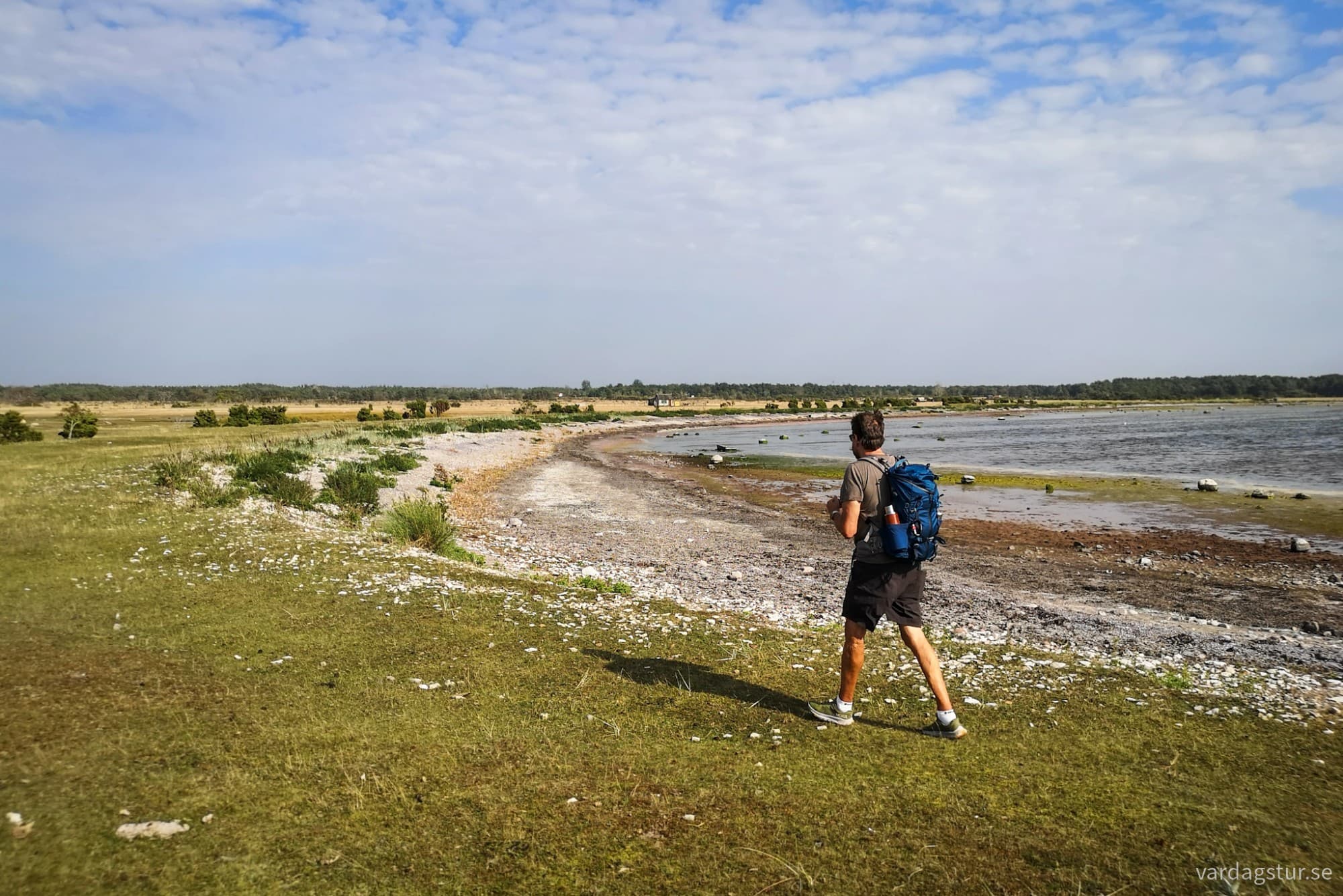 wp-17262184953446224736430986740831