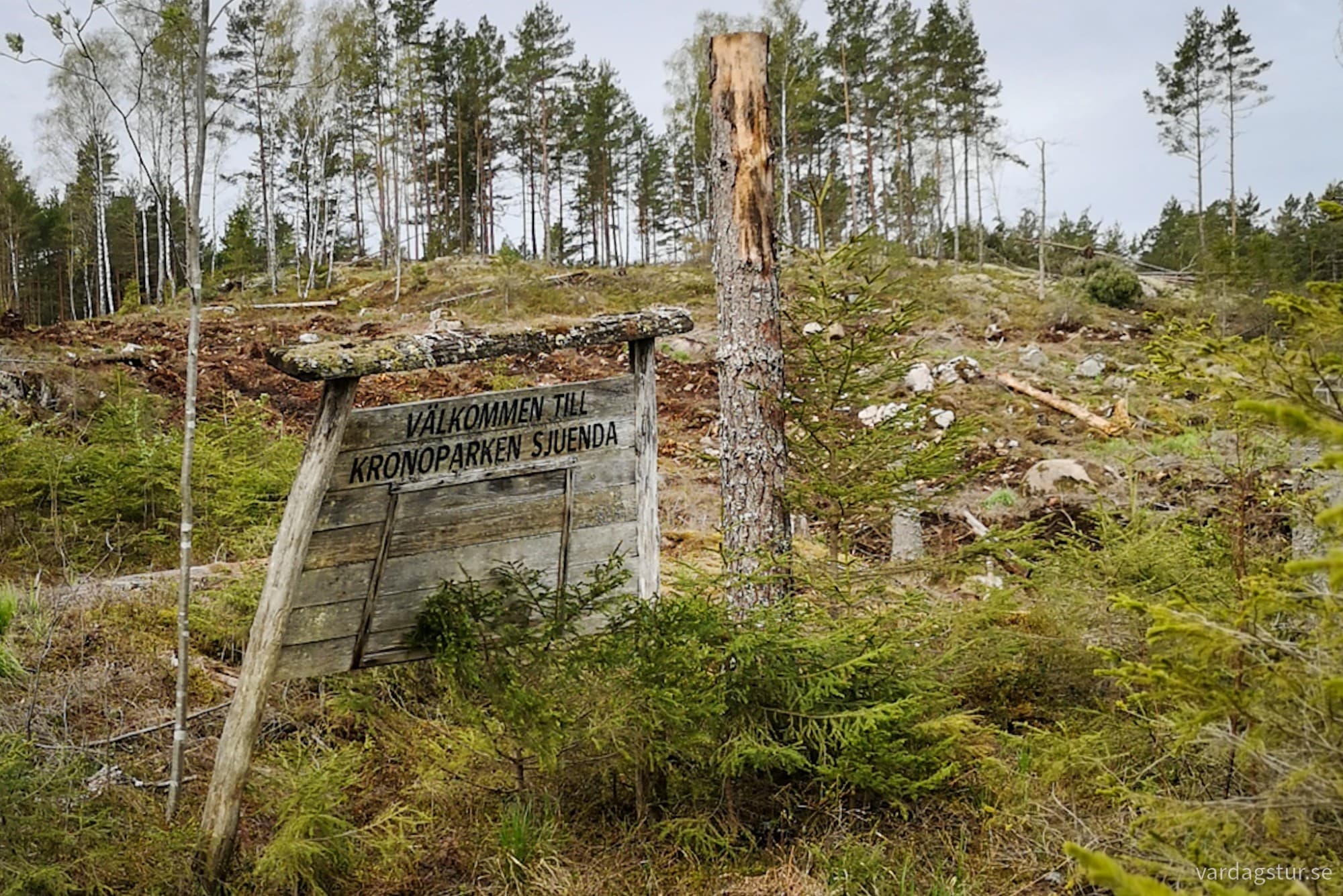 wp-1726331265438642324187140436500