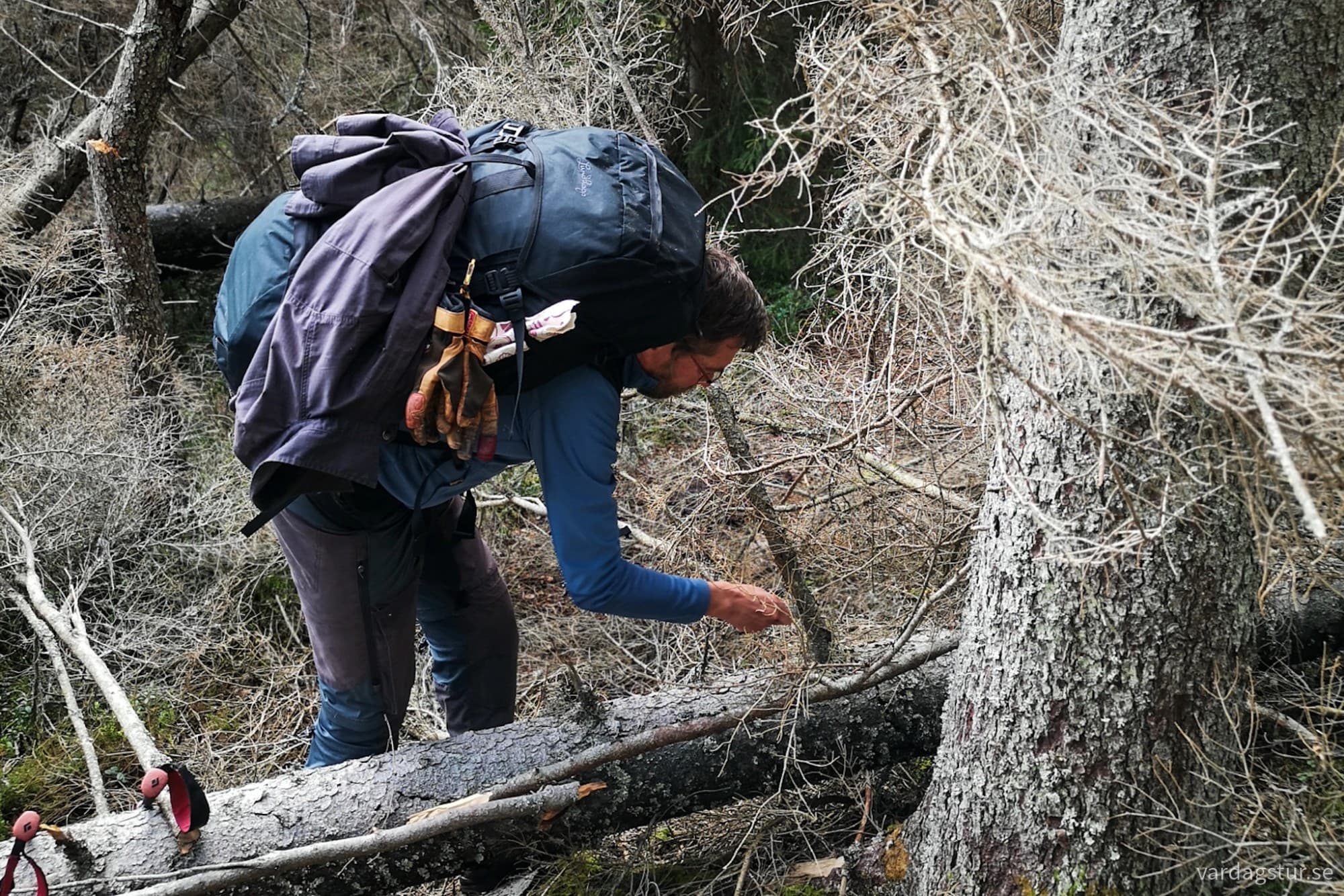 wp-172633126655410402738465455206