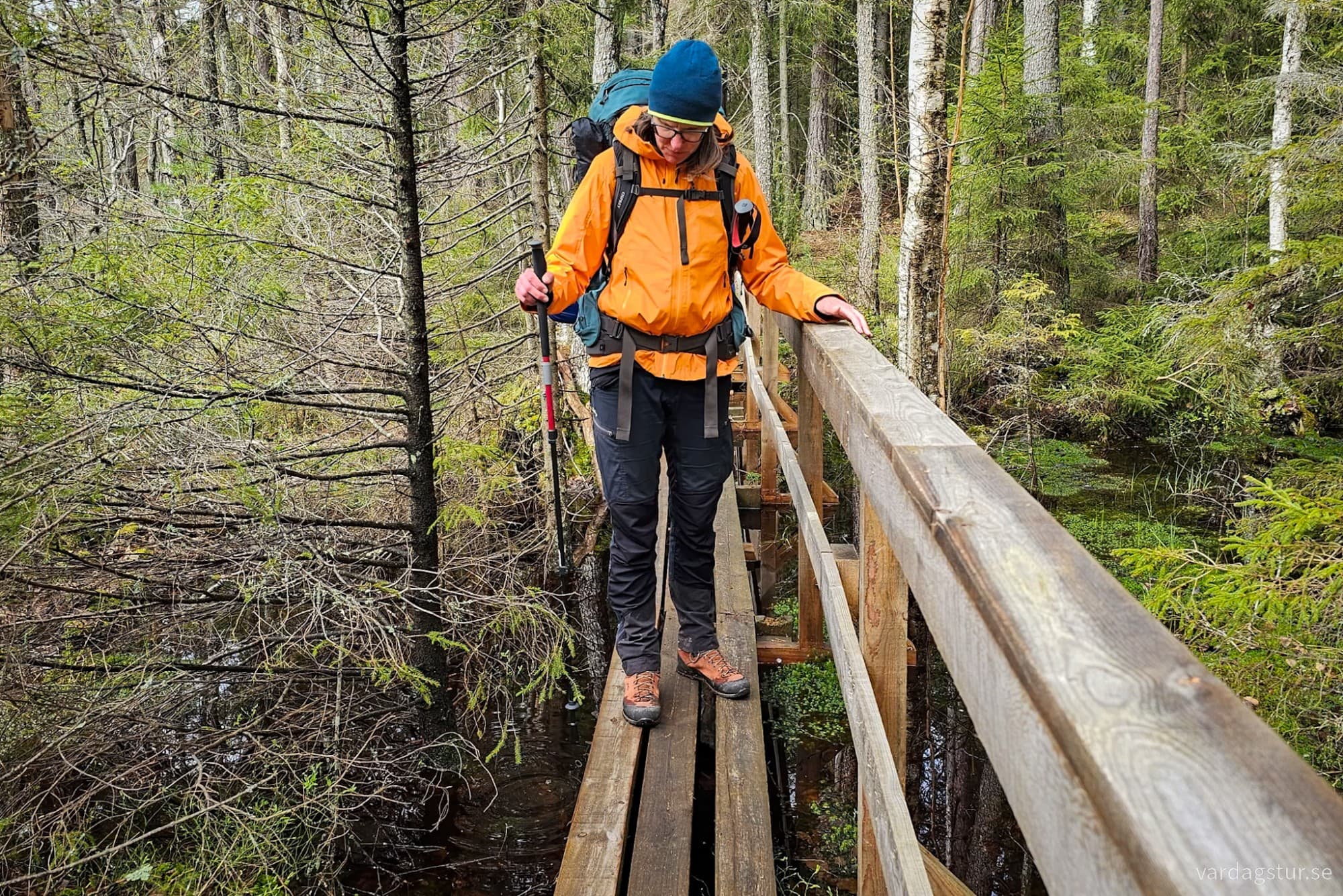 wp-17263312659363290157346773053009