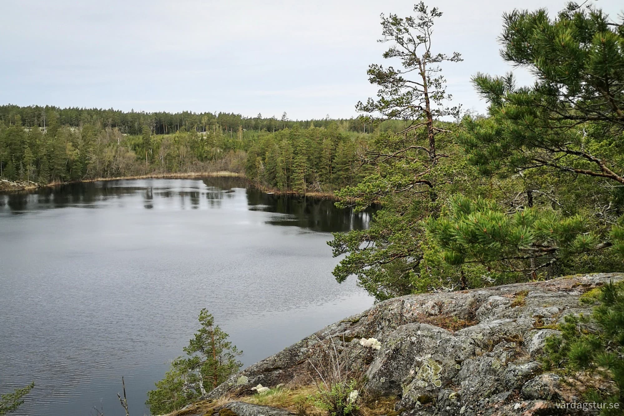 wp-17263312671584768695663986462174