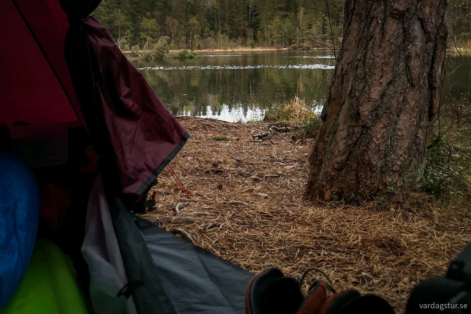 wp-17263313353768248383749875329960