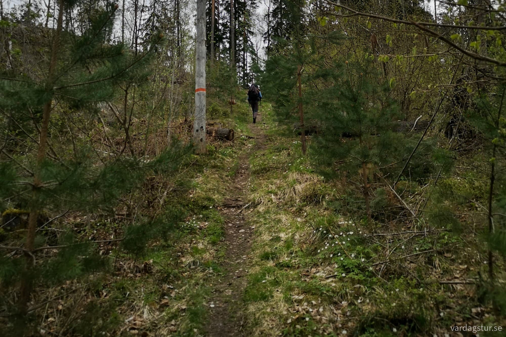 wp-1726331335767734290657261050275