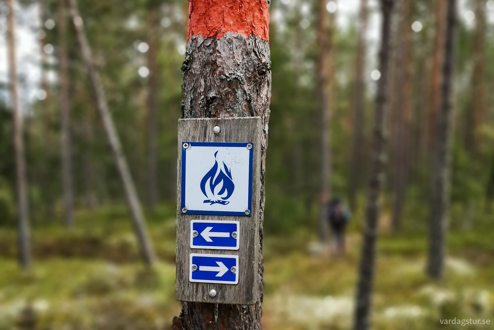 wp-1726925070473179009765053833055