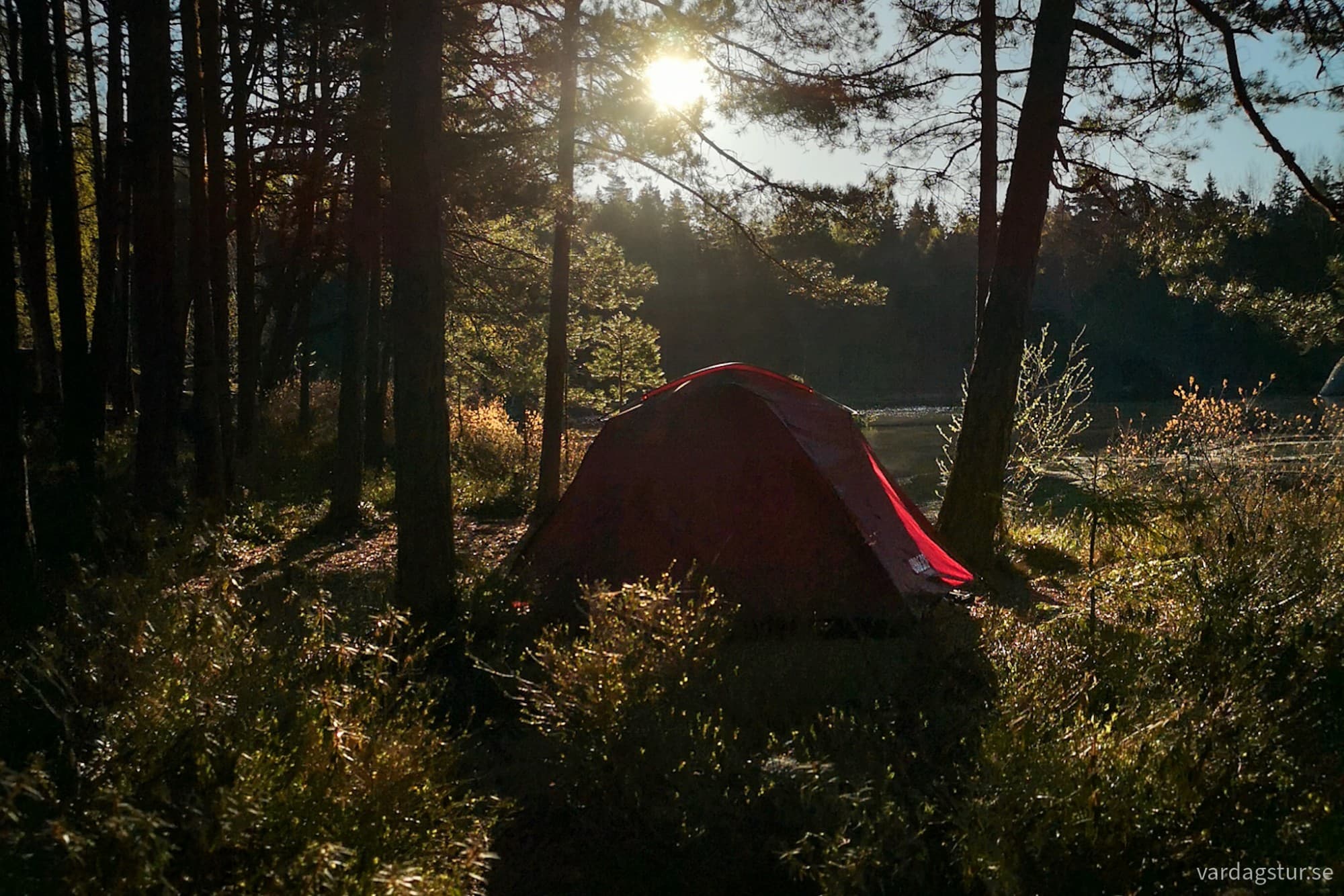 wp-17276176513983205819352255887206