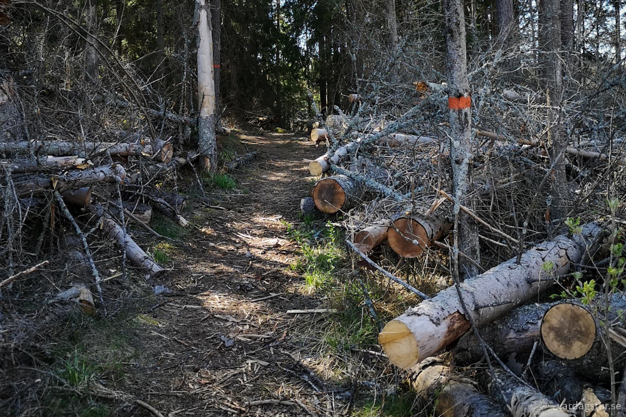 wp-17276176509571265512443312675153