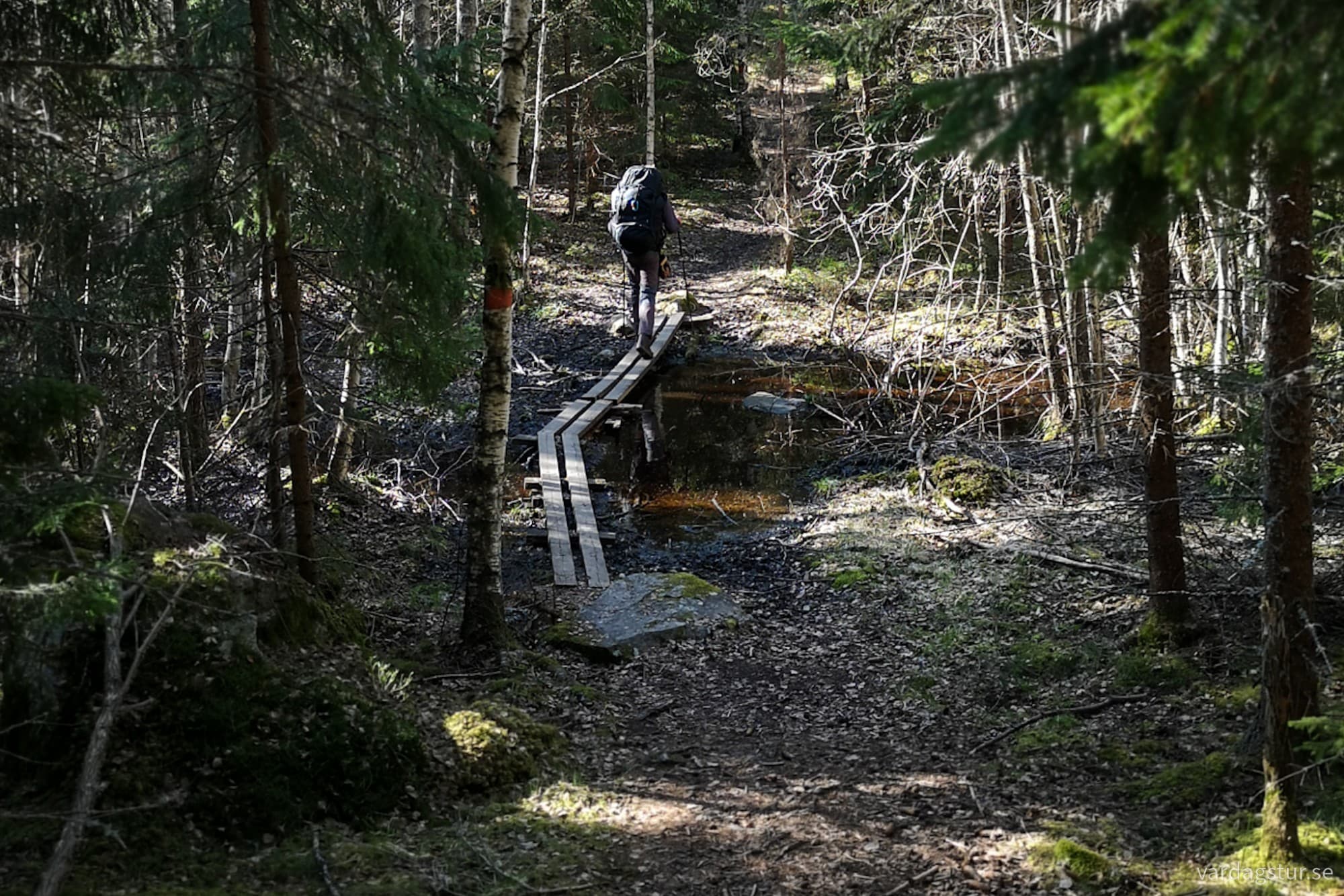 wp-17276176520168296116748244661796