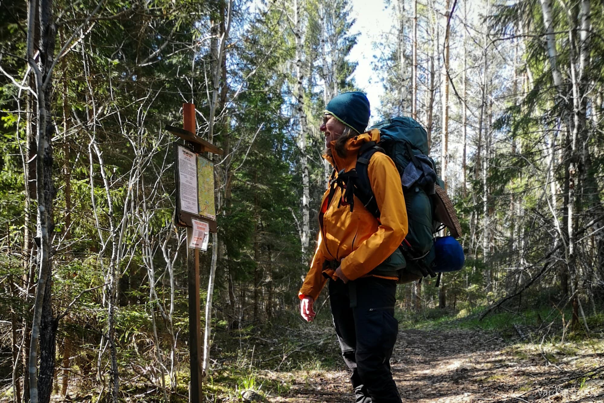 wp-17276176516278156640407975280621