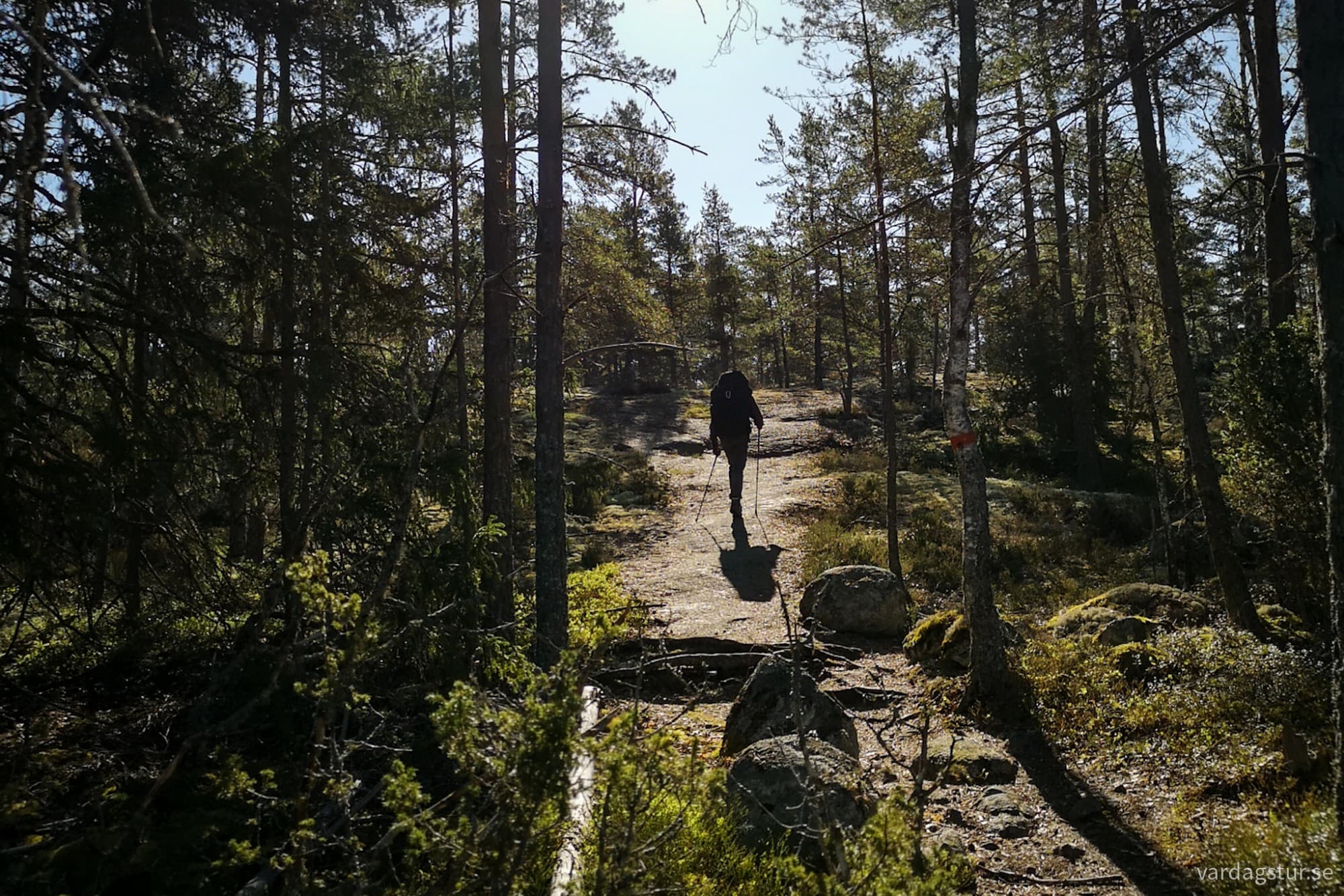 wp-17276176522242201549313354394692