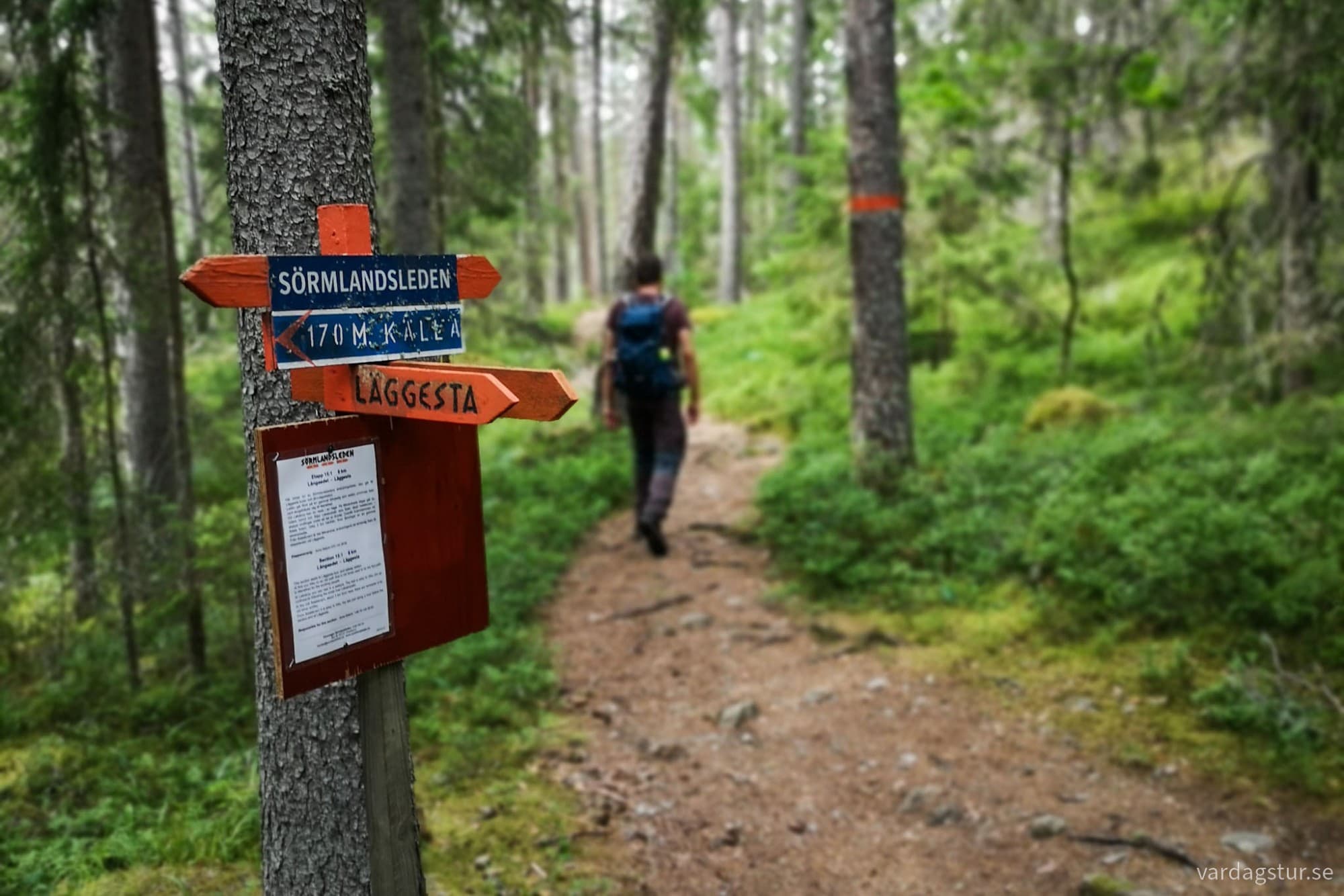 wp-17276273588096711075682029727557