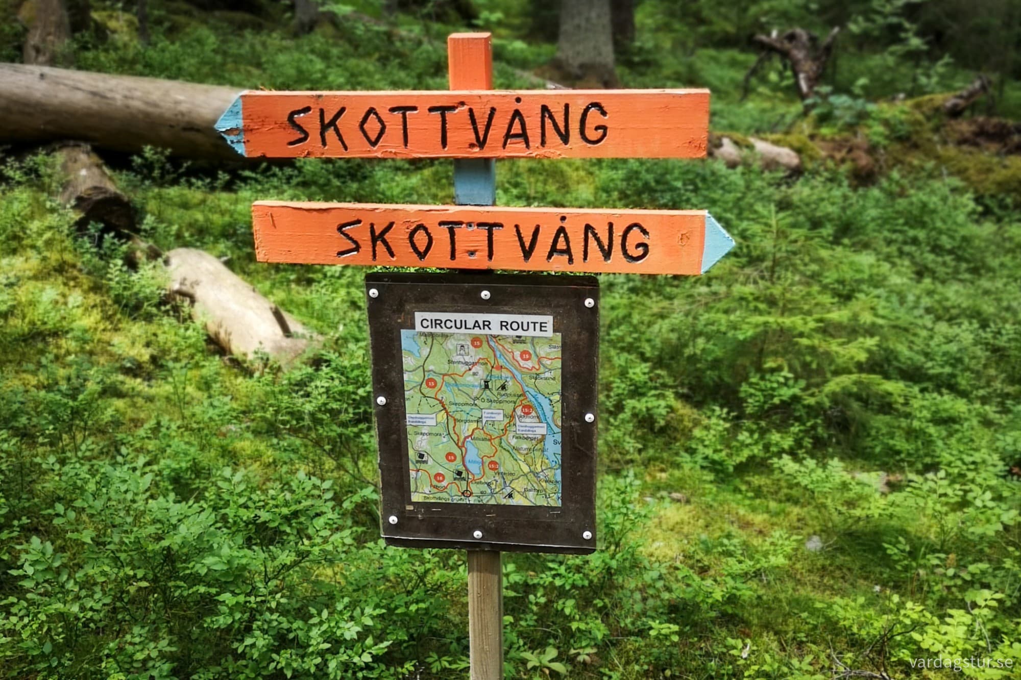 wp-17276273586131574279433062830370