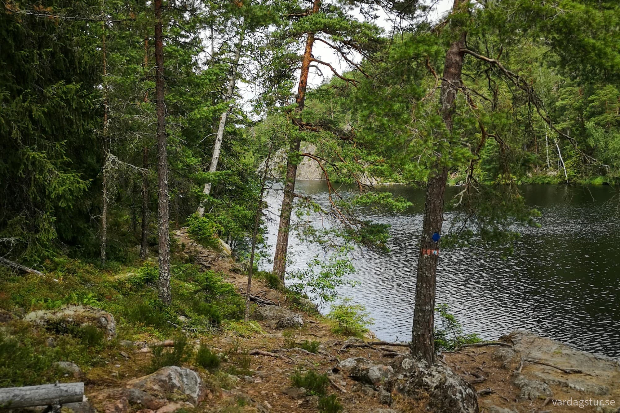 wp-17276273579726299304103822926142