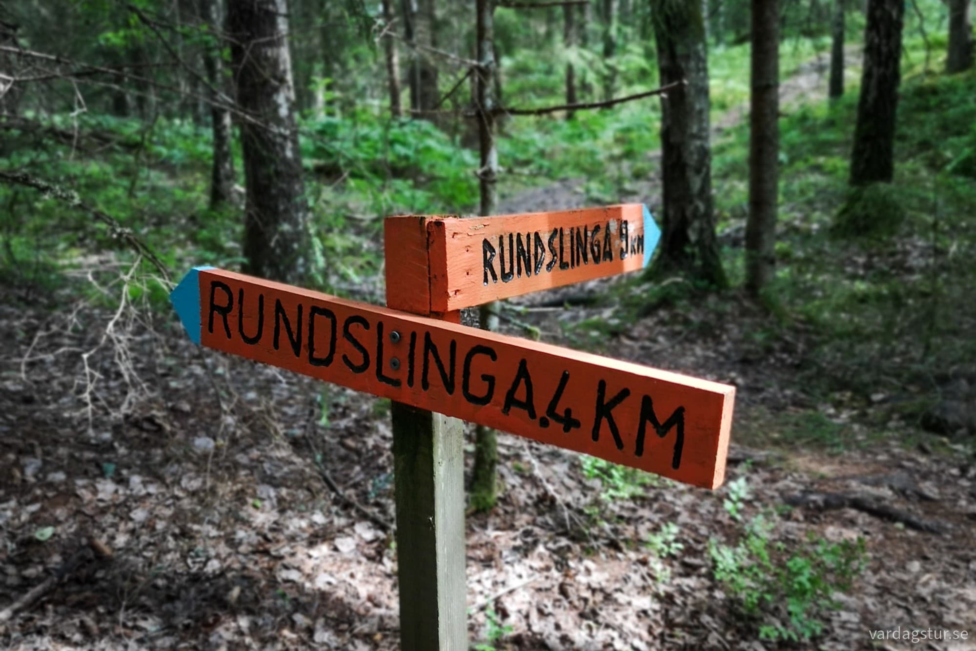 wp-17276273592021926584097262125097