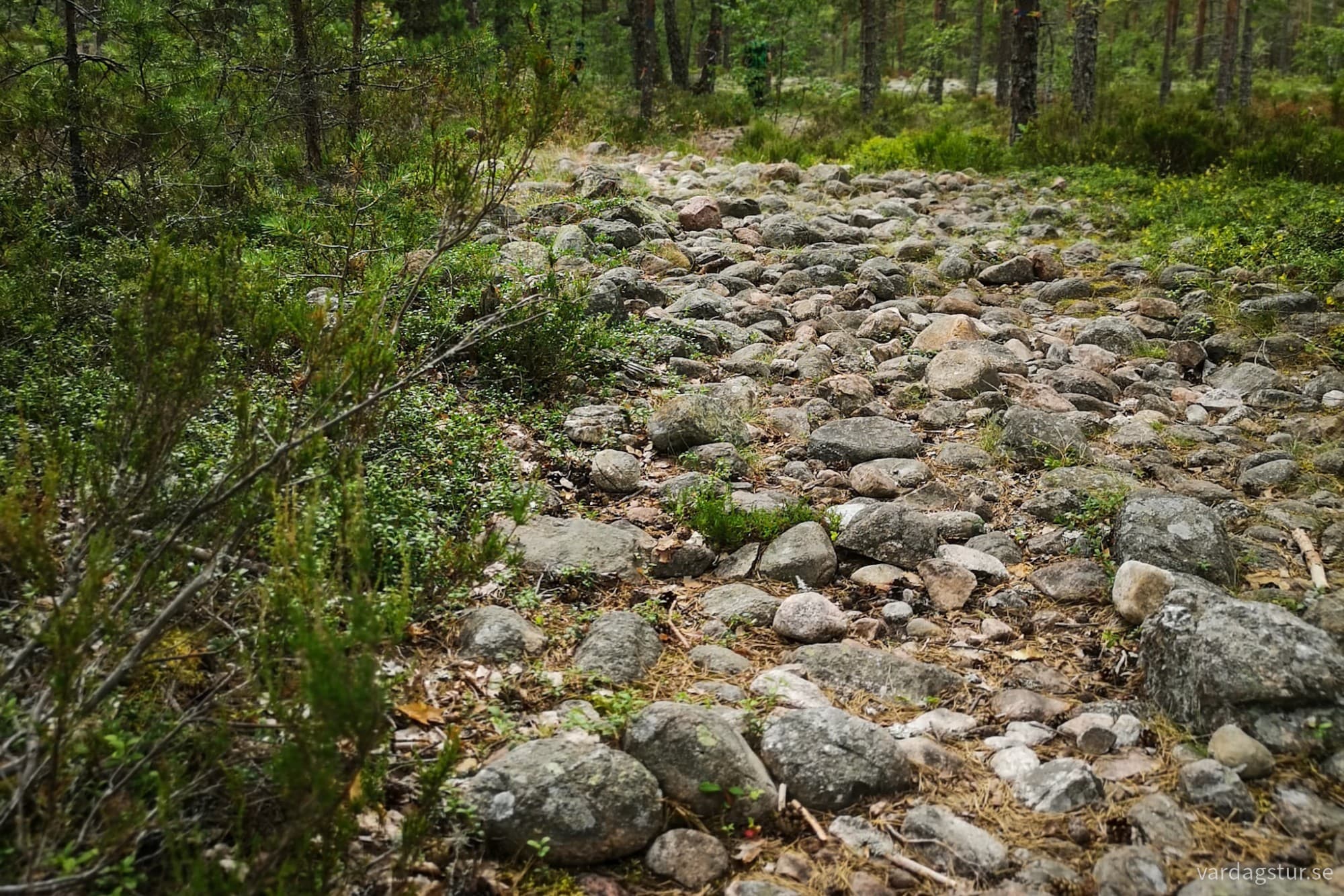 wp-17276273589754383620125860236315