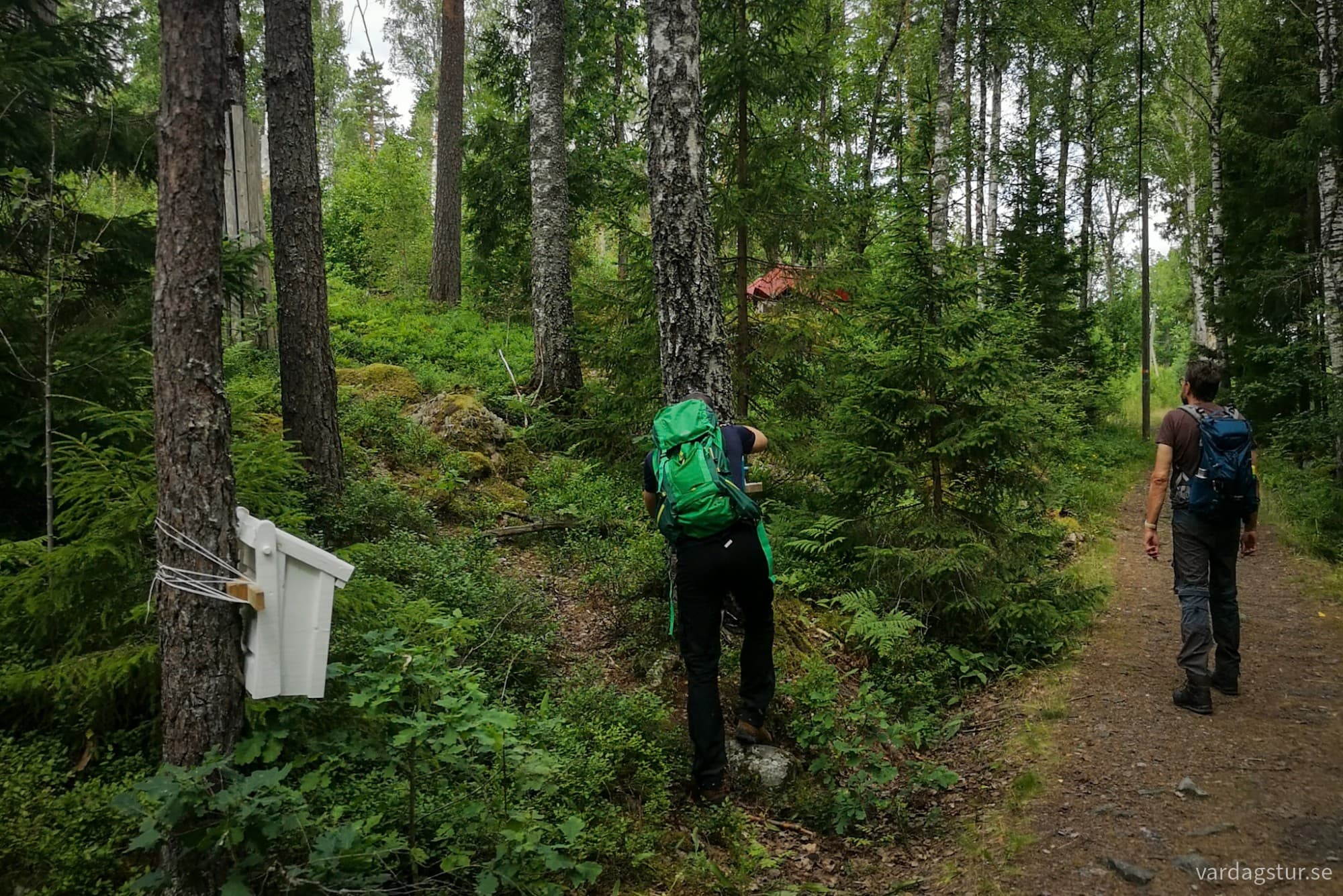 wp-17276273593546738454095682344418