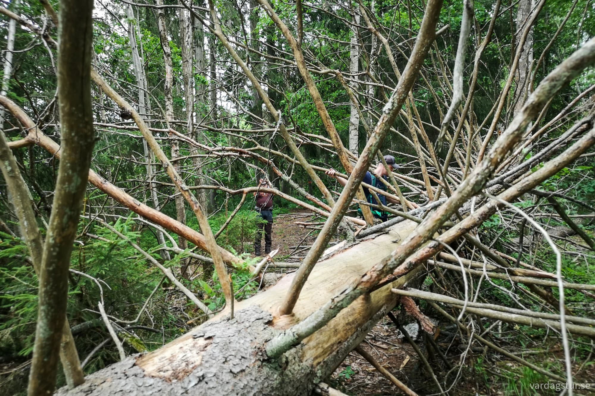 wp-1727627359741257867298596737010