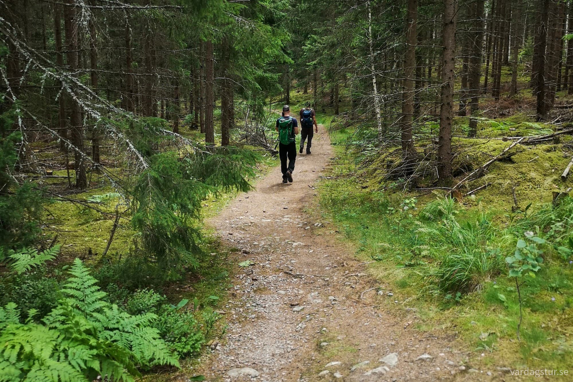 wp-1727627359942972044475370530990