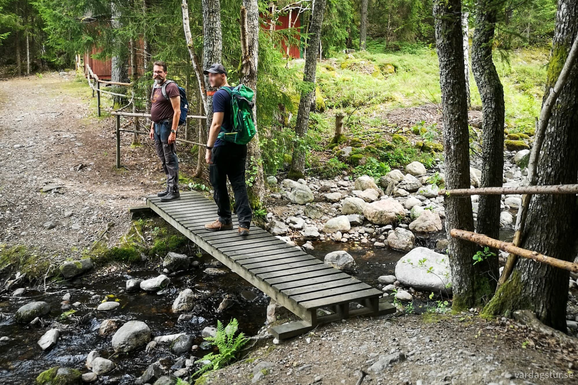 wp-17276273601438745500880751582448