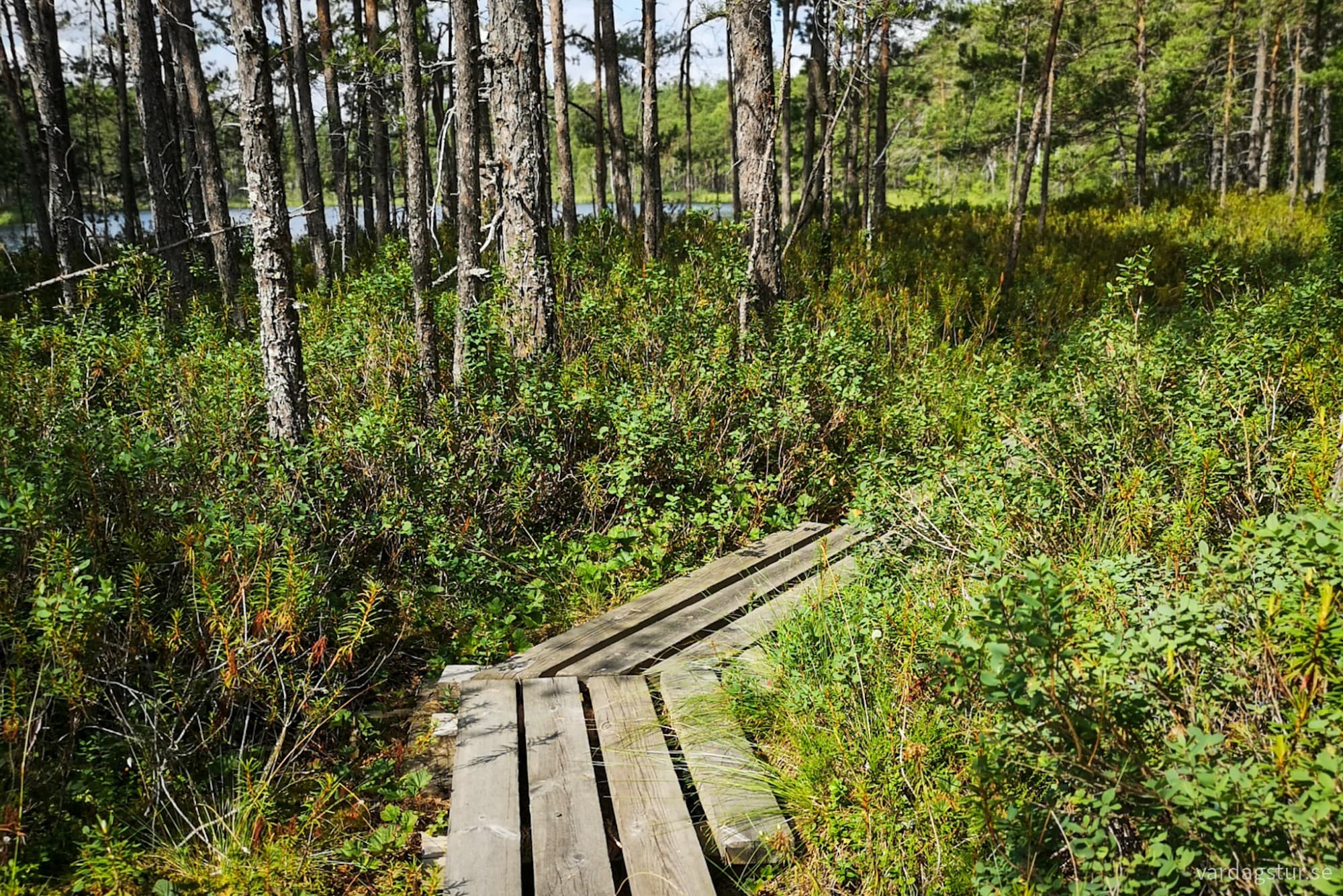 wp-17277099797764711349619952353355